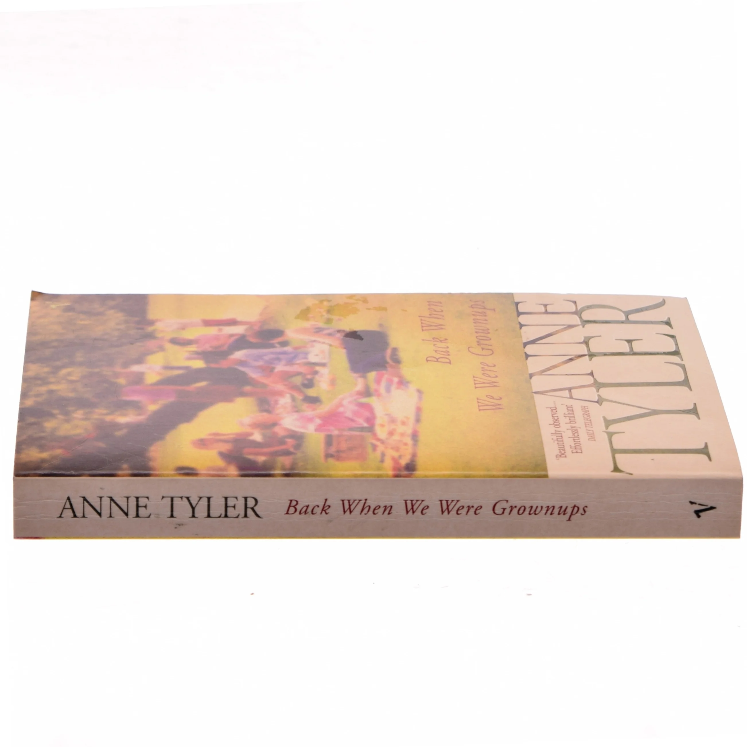 Back when we were grownups af Anne Tyler (Bog)