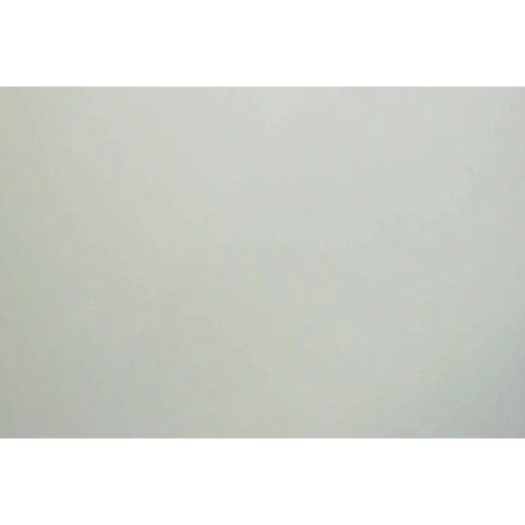 The vampire diaries. #6, Skyggesjæle af L. J. Smith (Bog)