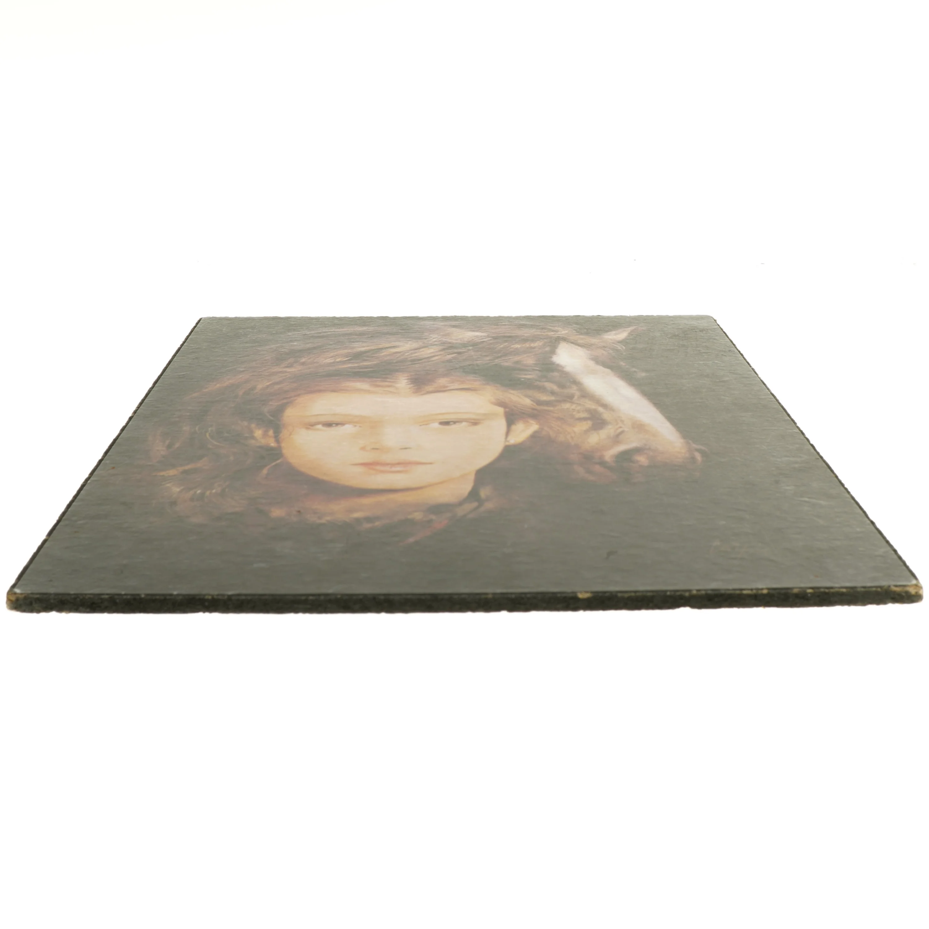 Vintage Maleri af en hest (str. 40x30 cm)