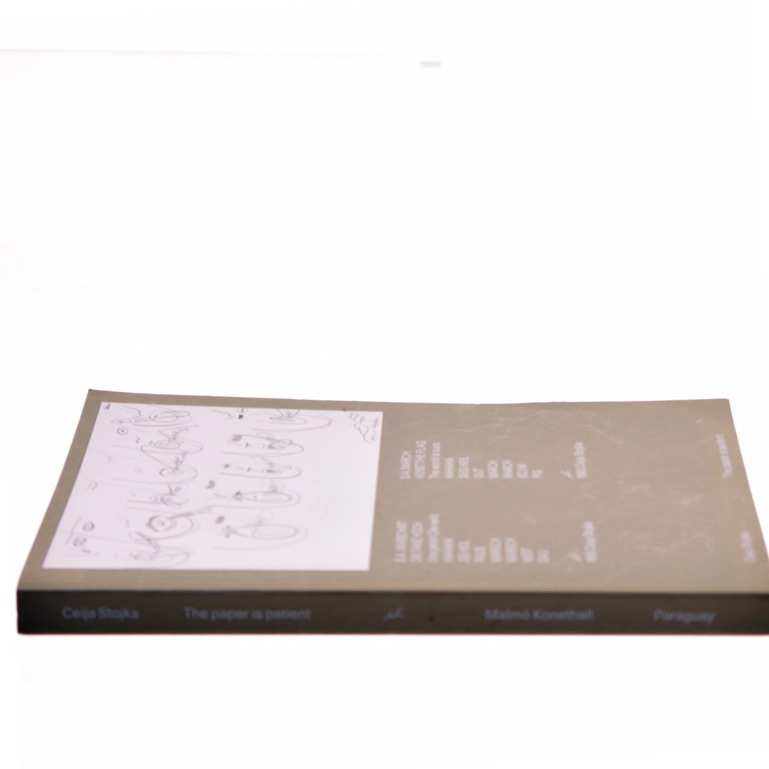 The paper is patient af Ceija Stojka (Bog)