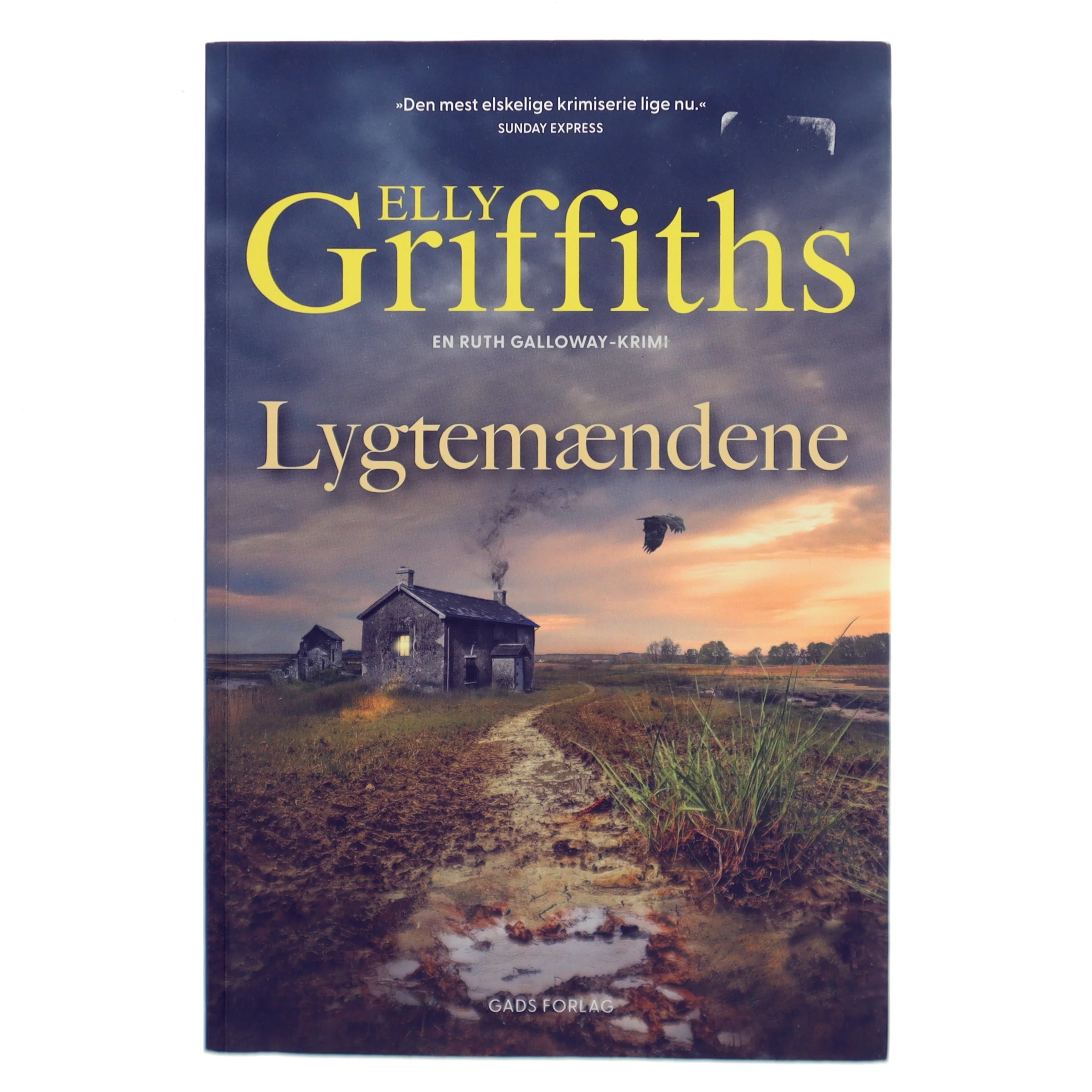 Lygtemændene af Elly Griffiths (Bog)