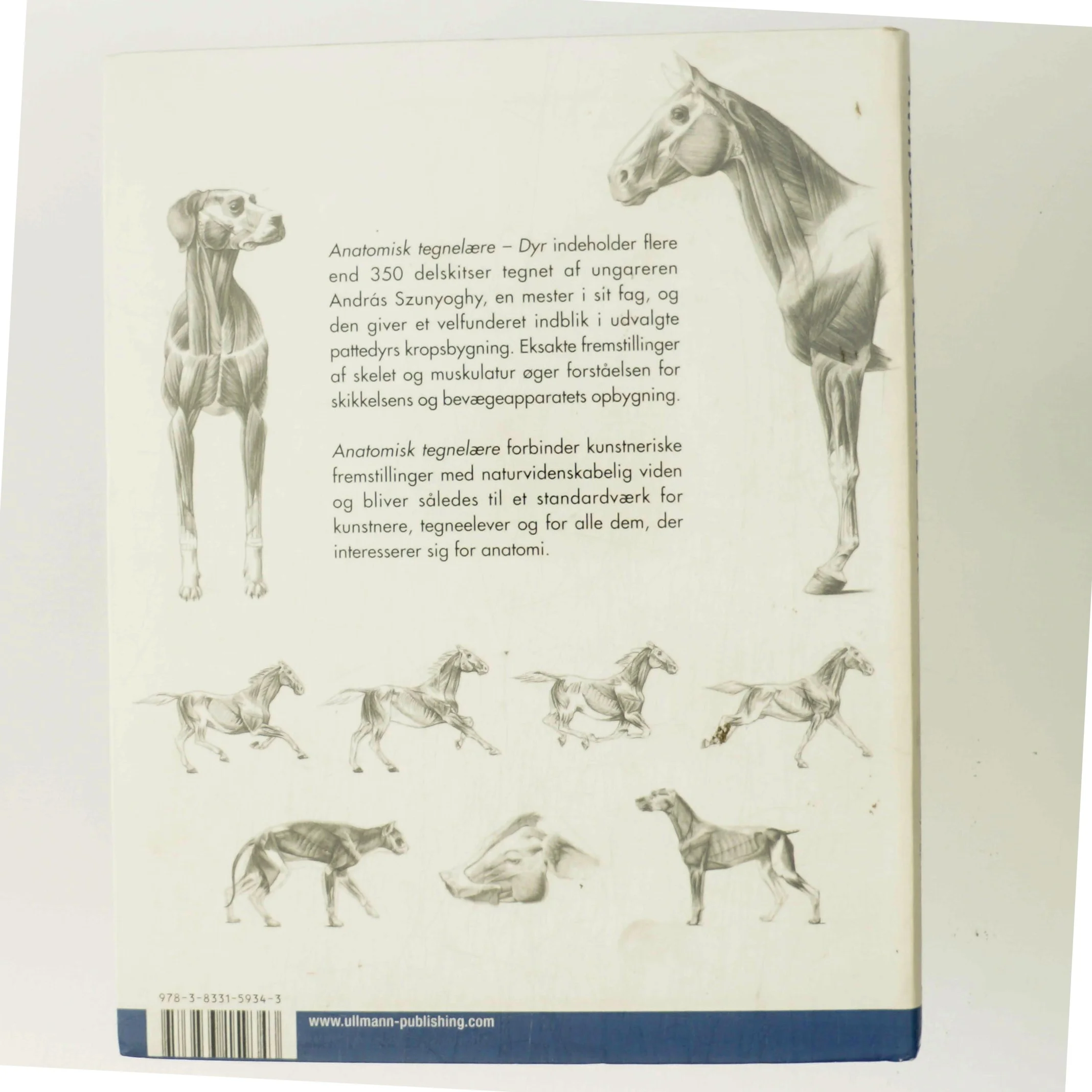 Anatomisk tegnelære : Dyr af György Fehér (Bog)