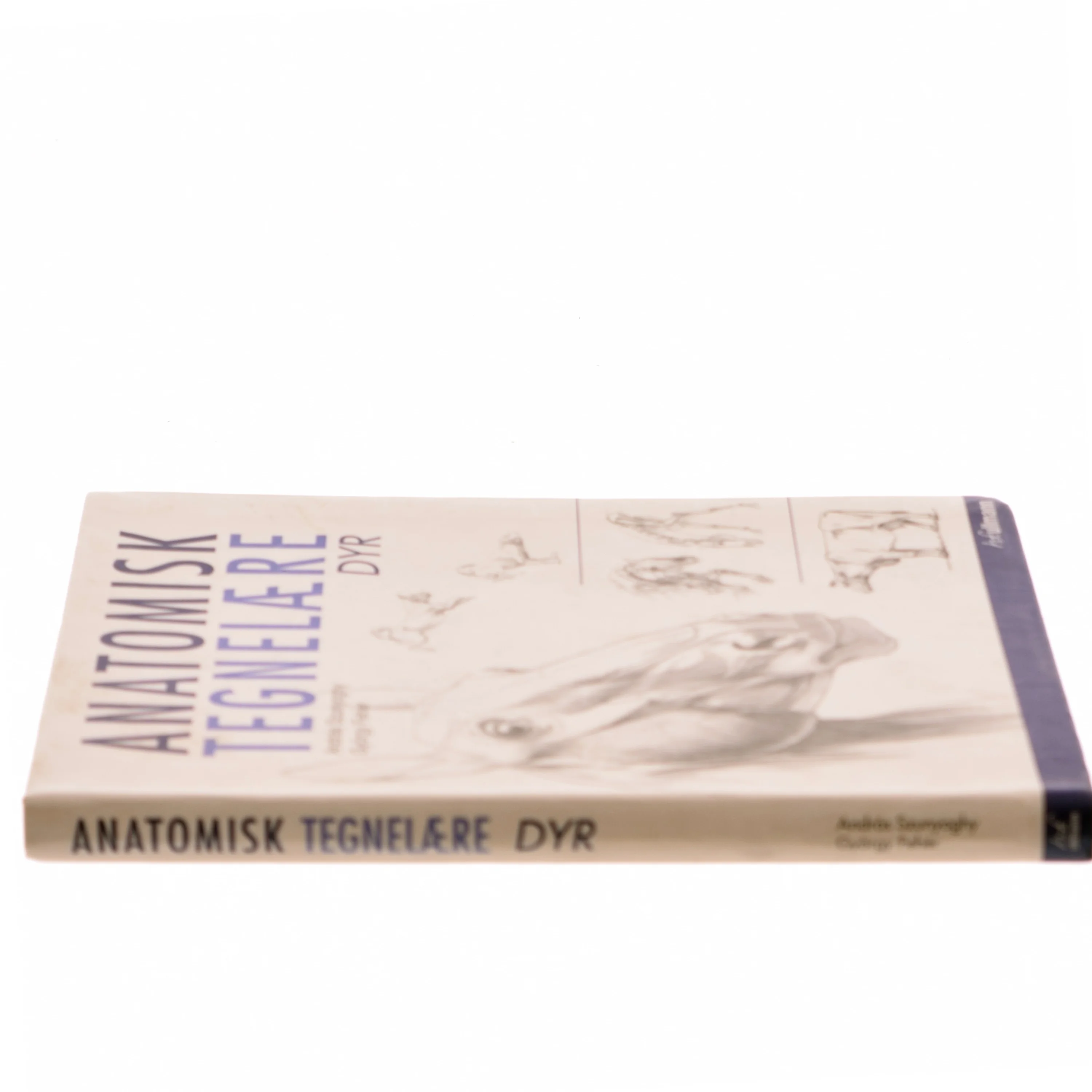 Anatomisk tegnelære : Dyr af György Fehér (Bog)