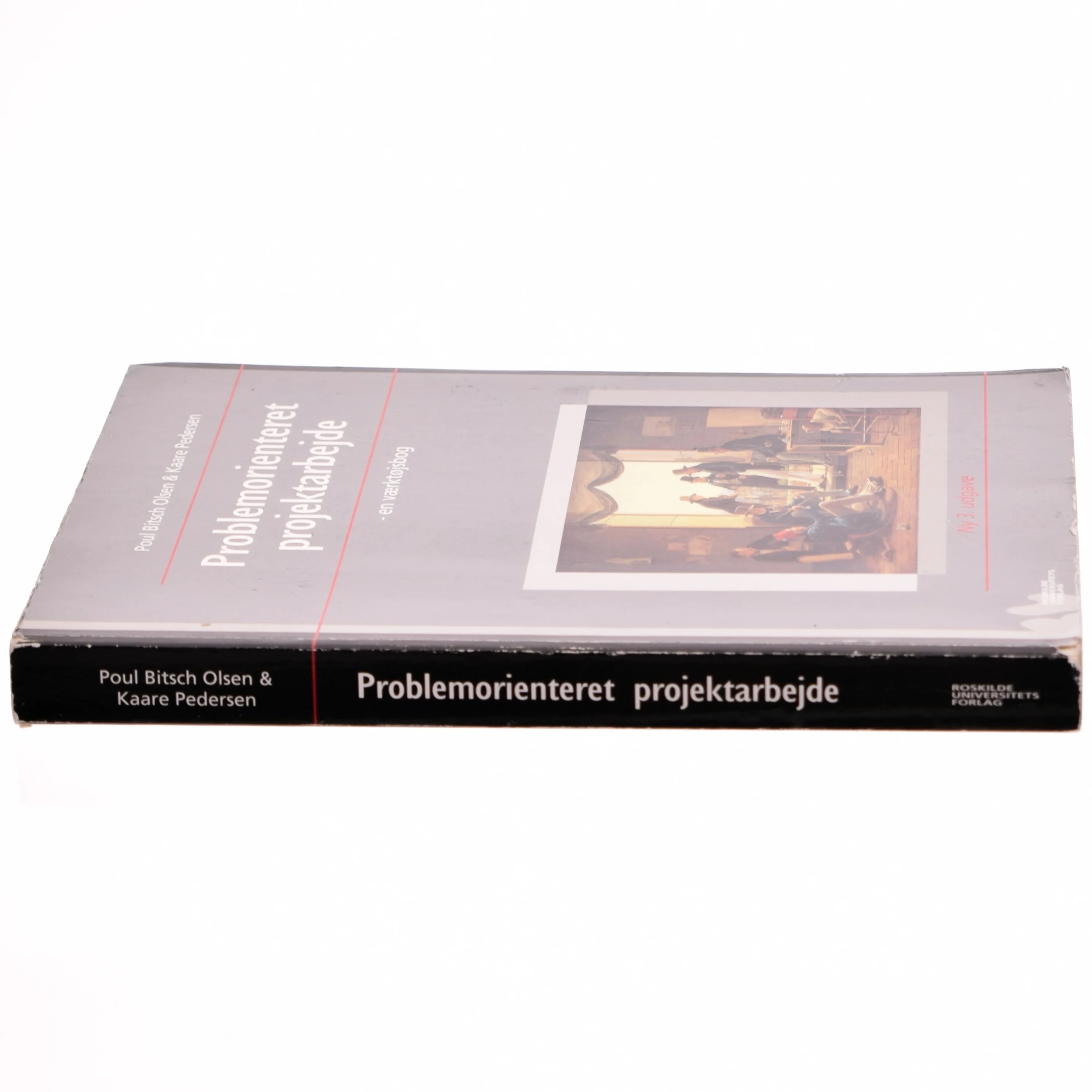 Problemorienteret projektarbejde af Poul Bitsch Olsen, Kaare Pedersen (Bog)