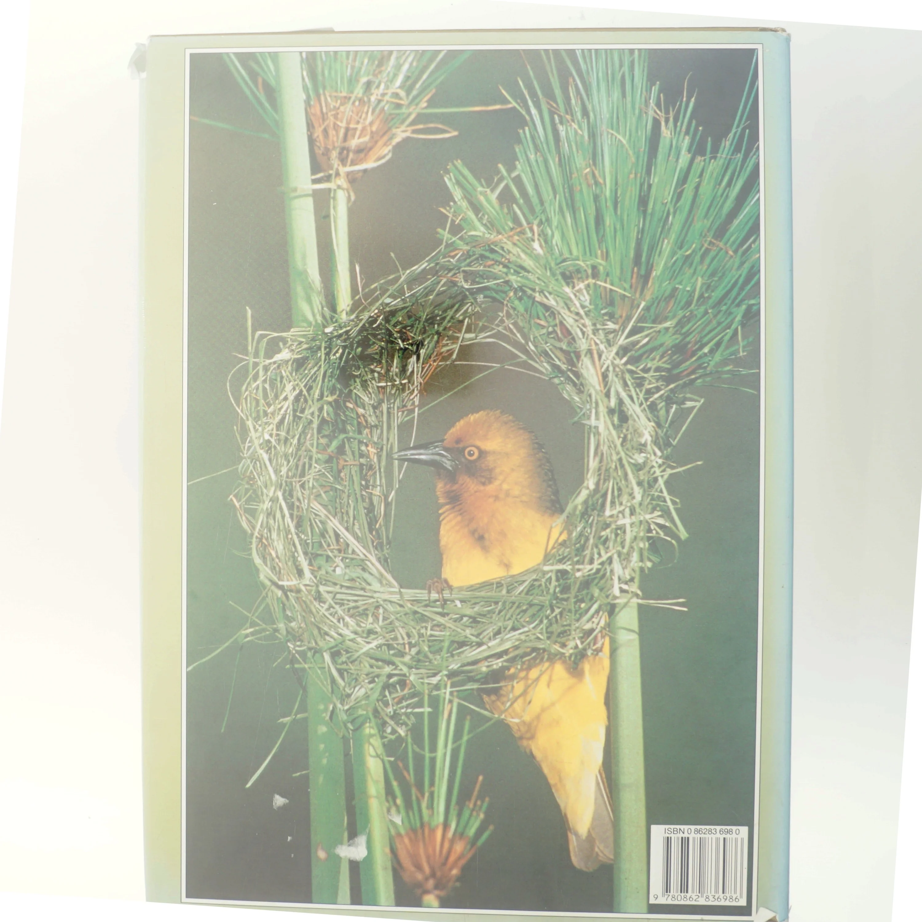 Wildlife of South Africa af David Steele (Bog)