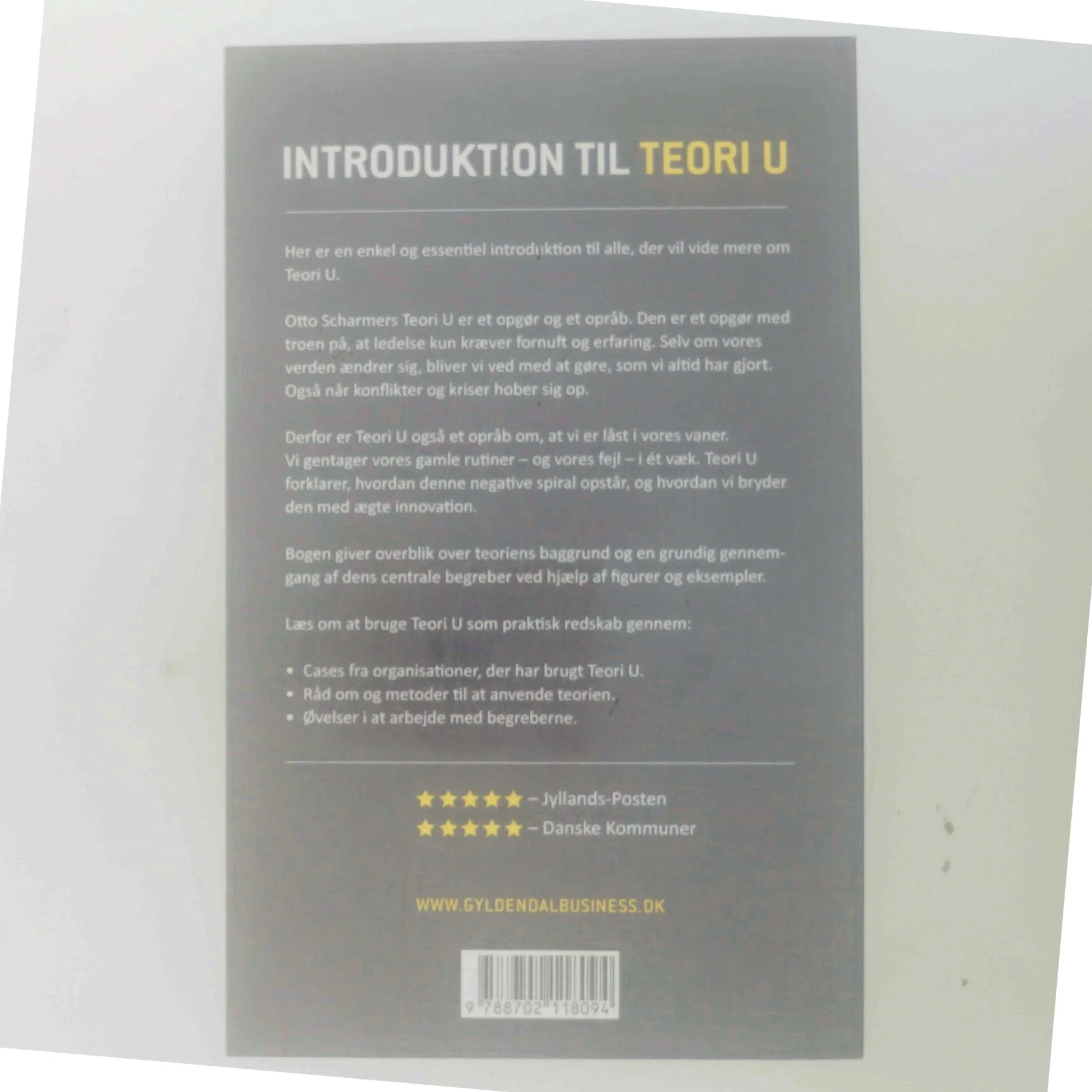 Introduktion til teori U af Steen Hildebrandt (Bog)