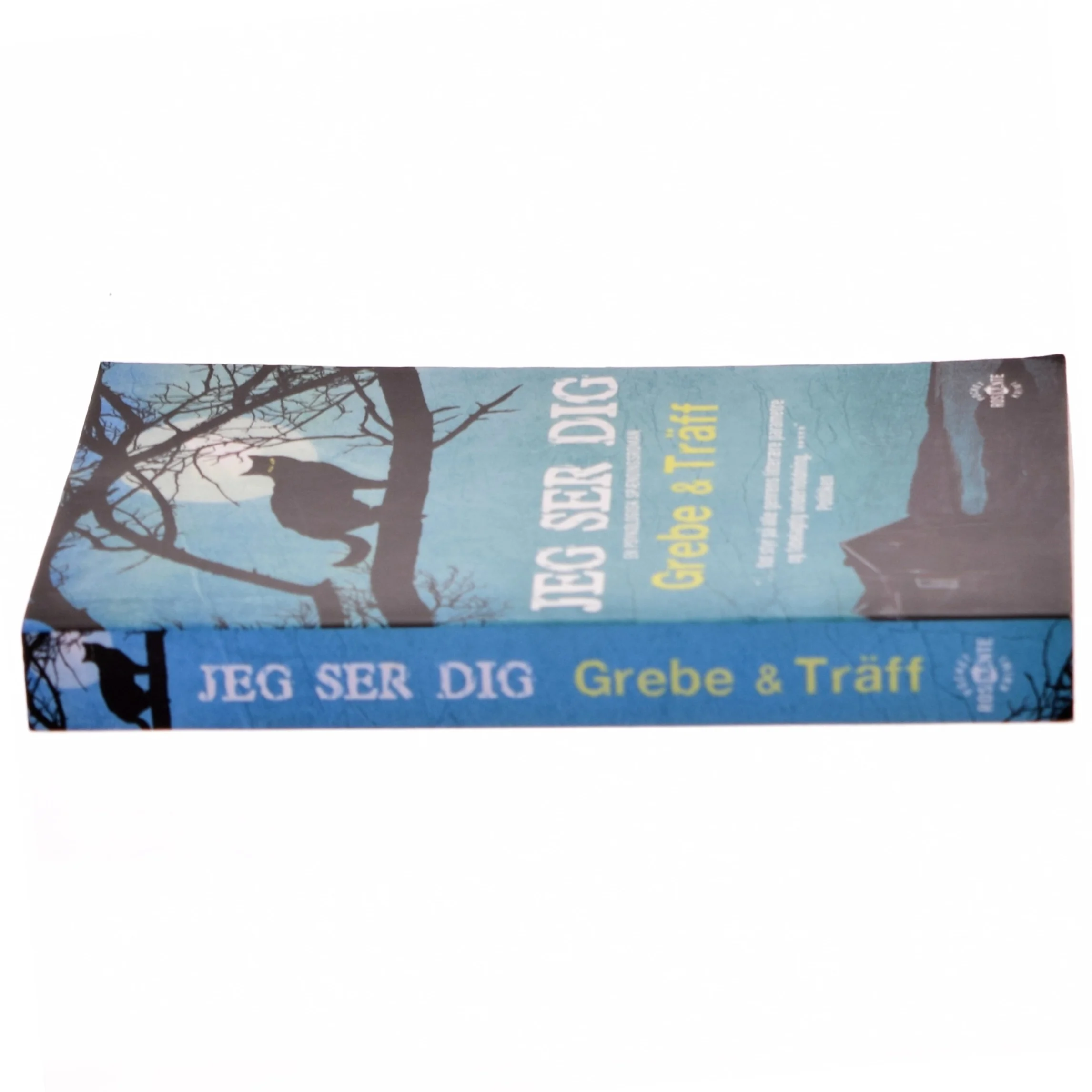 Jeg ser dig af Camilla Grebe (Bog)