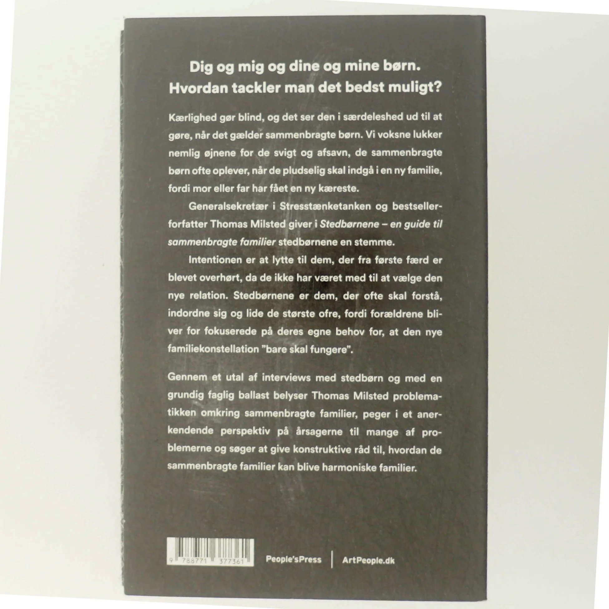 Stedbørnene : en guide til sammenbragte familier af Thomas Milsted (Bog)