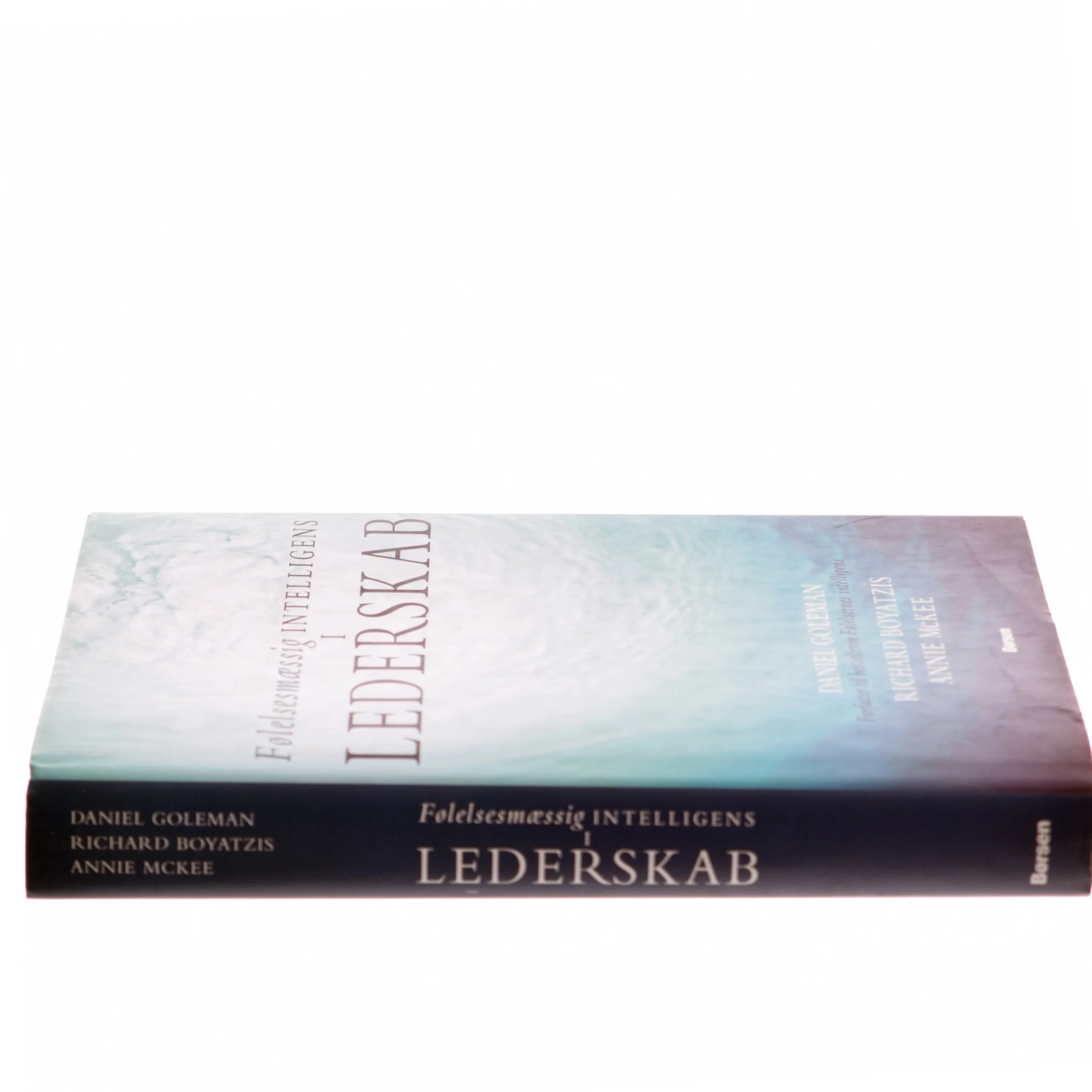 Følelsesmæssig intelligens i lederskab (Bog)