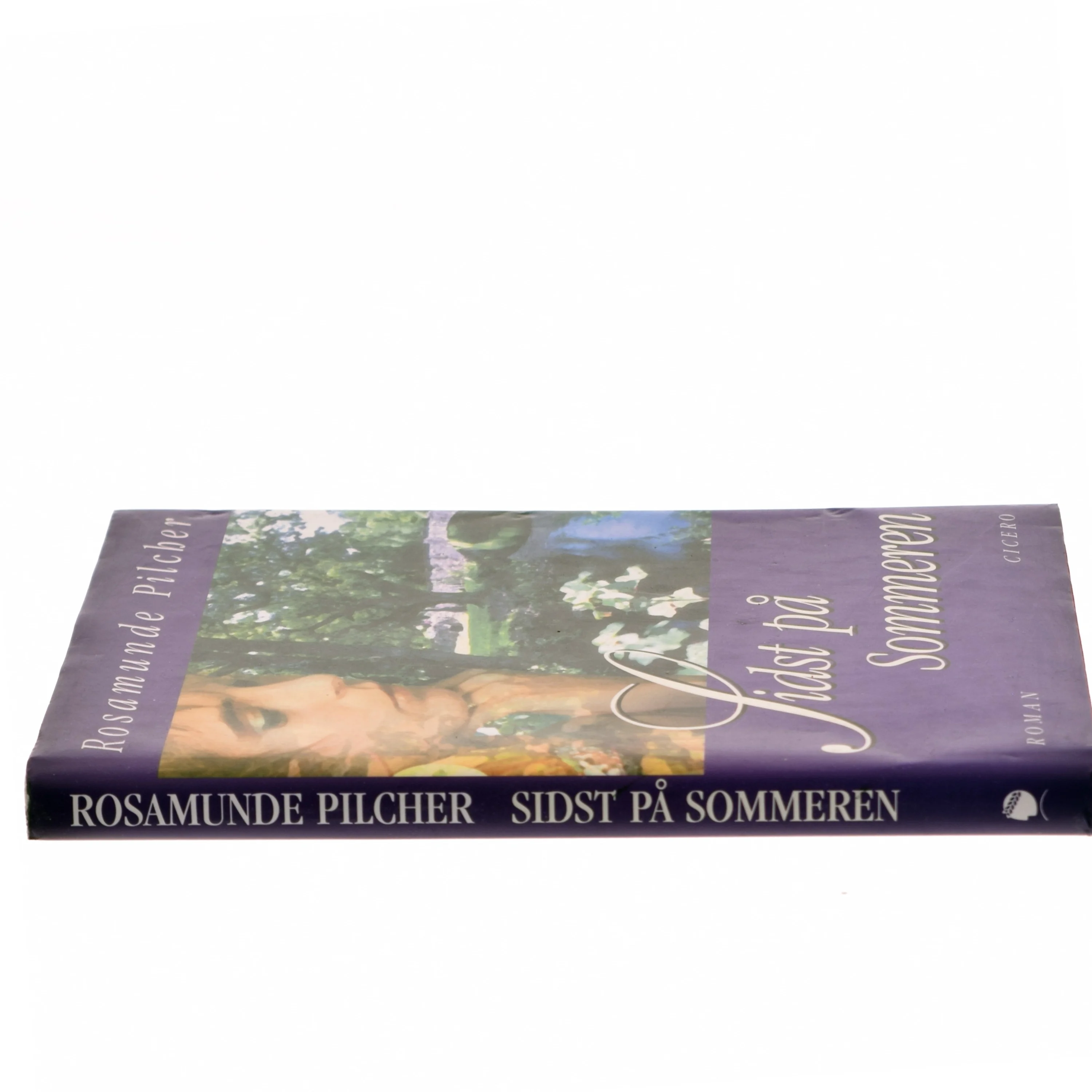 Sidst på sommeren af Rosamunde Pilcher (Bog)
