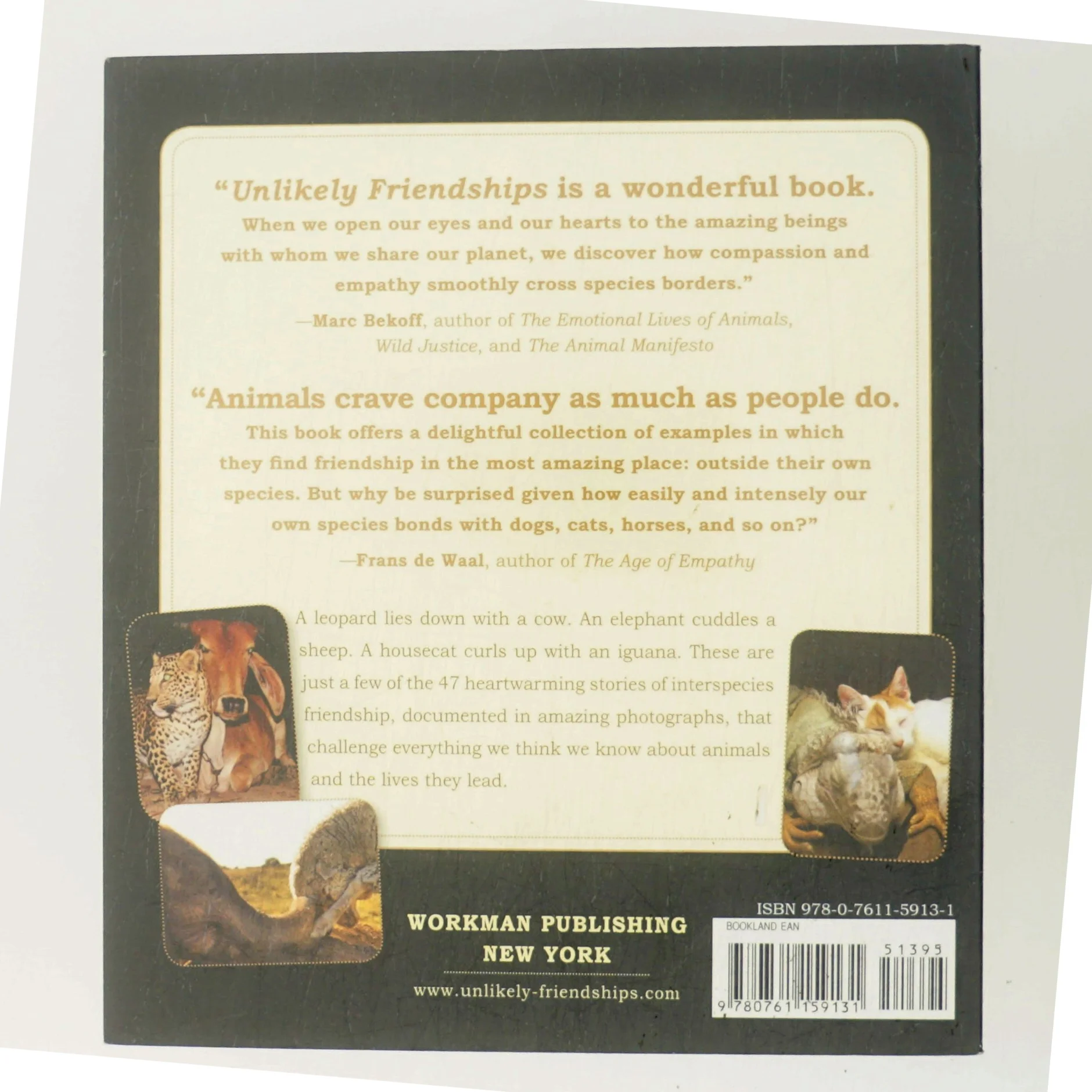 Unlikely friendships : 47 remarkable stories from the animal kingdom af Jennifer S. Holland (Bog)