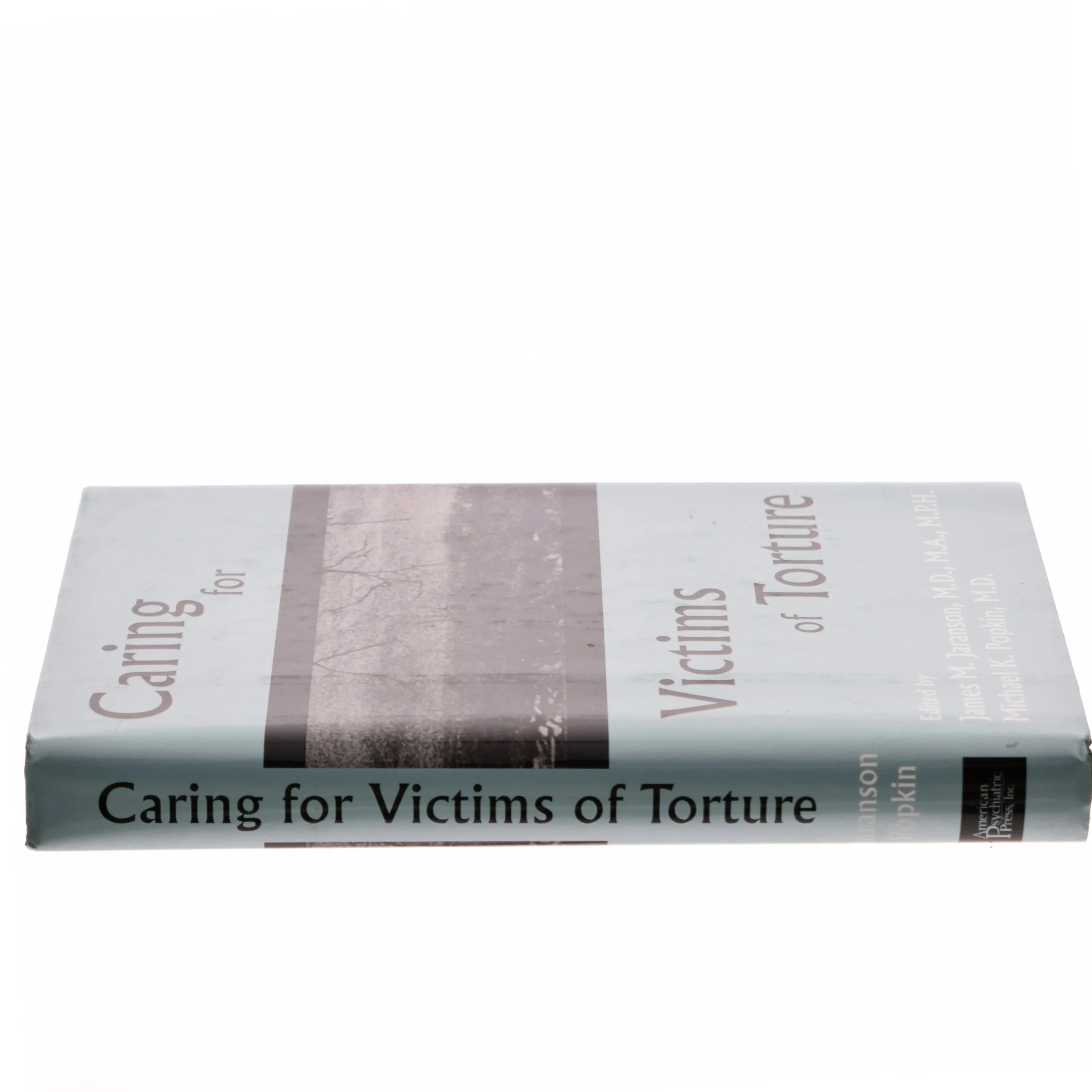 Caring for victims of torture (Bog)