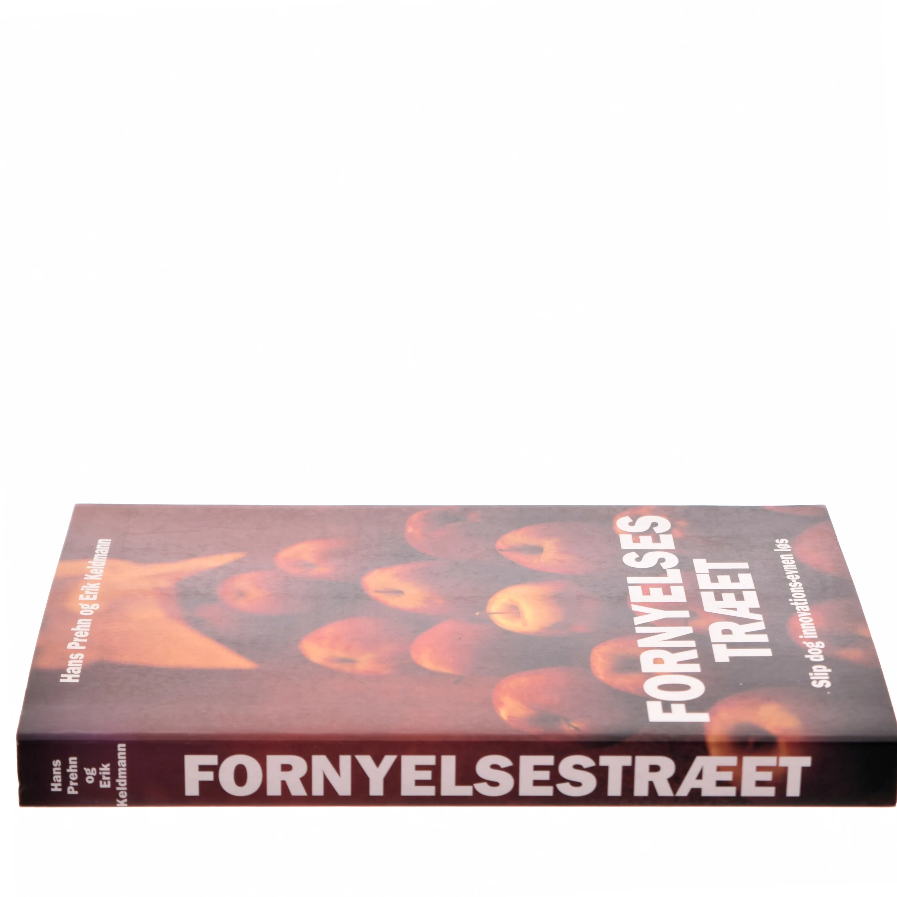 Fornyelsestræet : slip dog innovations-evnen løs (Bog)