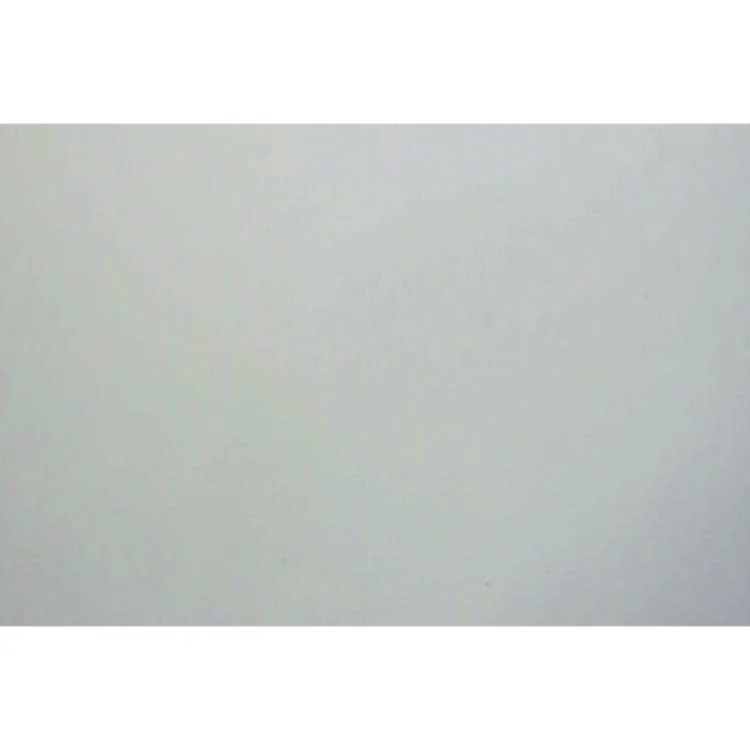 Winter World af Bernd Heinrich (Bog)