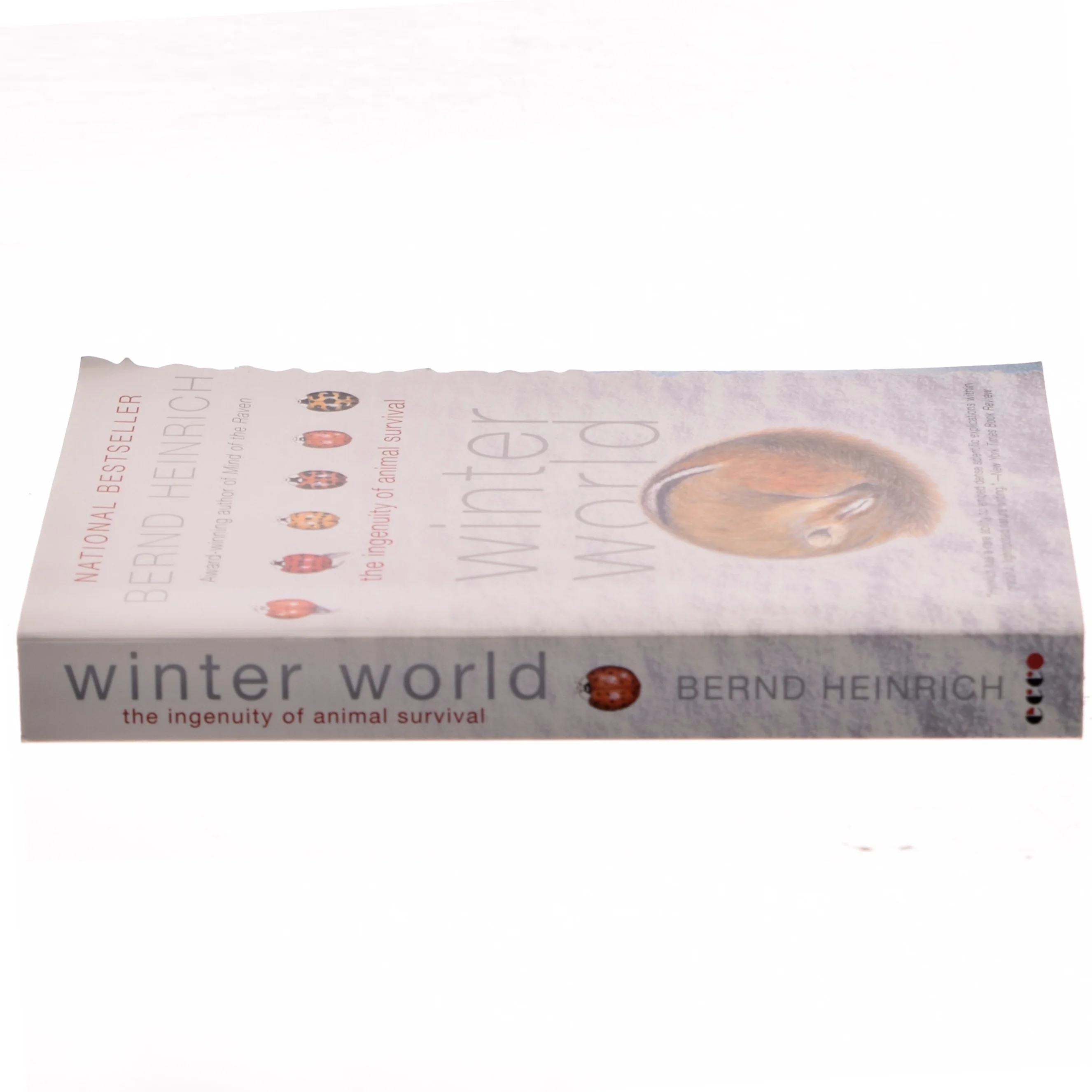 Winter World af Bernd Heinrich (Bog)