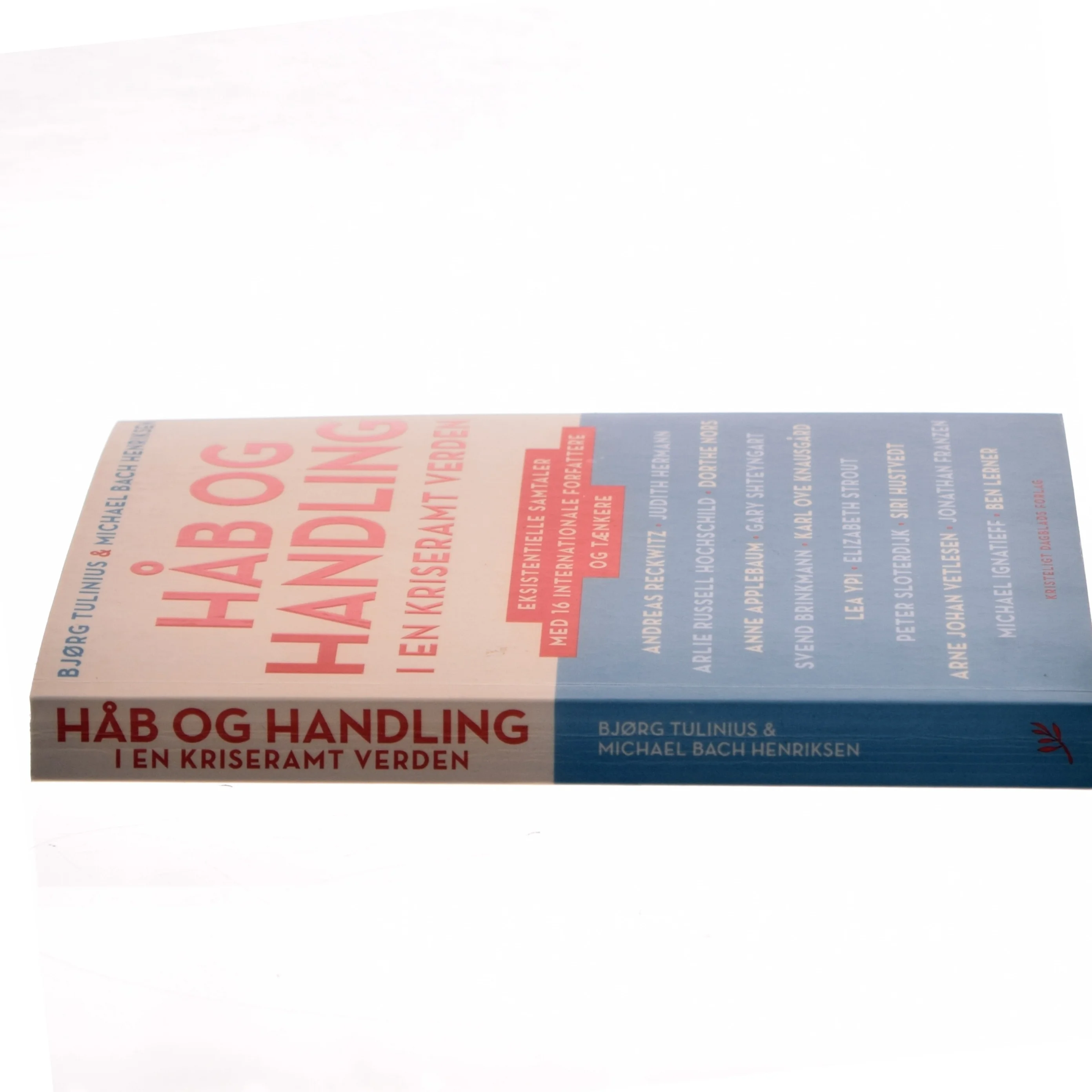 Håb og handling i en kriseramt verden : eksistentielle samtaler med 16 internationale forfattere og tænkere af Bjørg Tulinius (Bog)