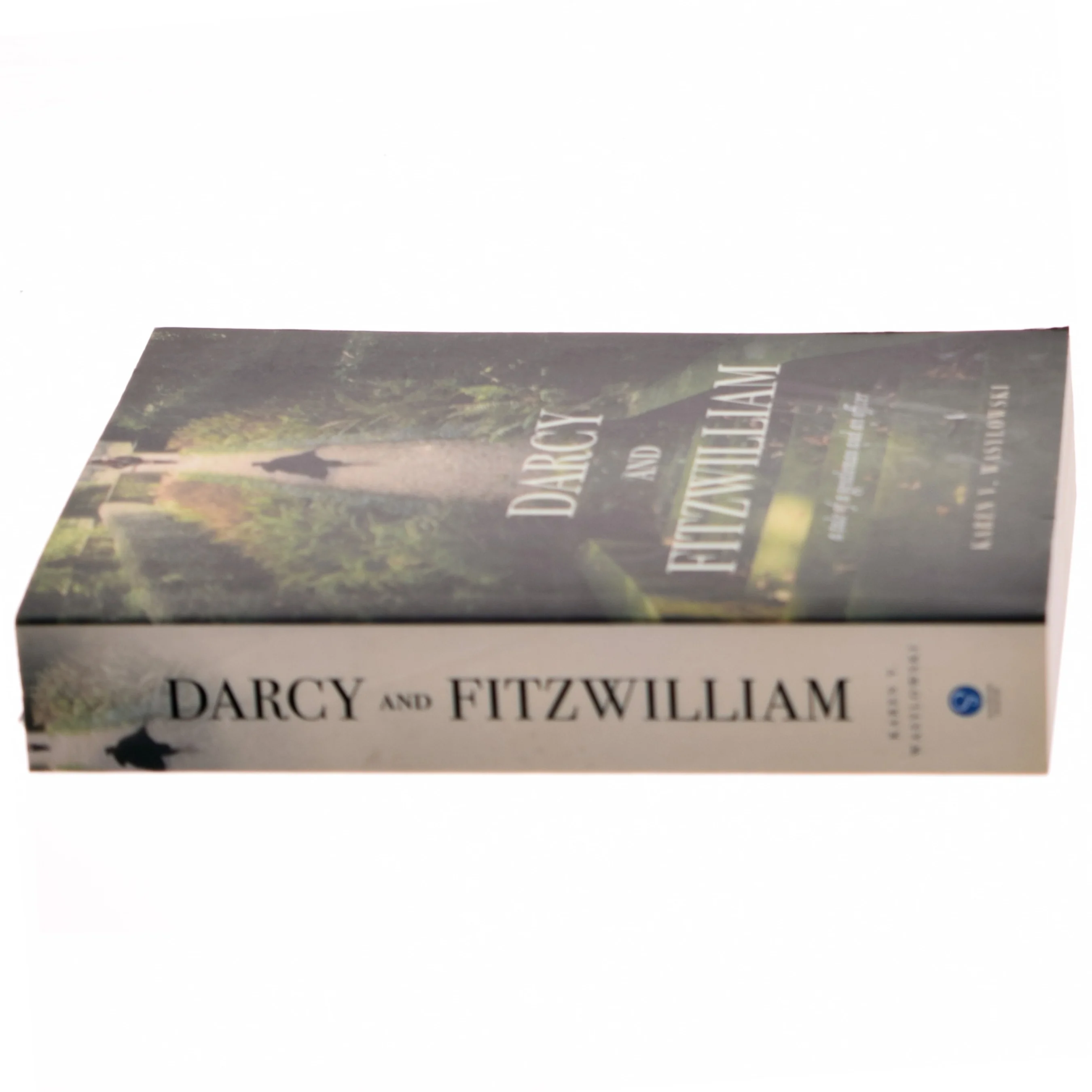 Darcy and Fitzwilliam af Karen V. Wasylowski (Bog)