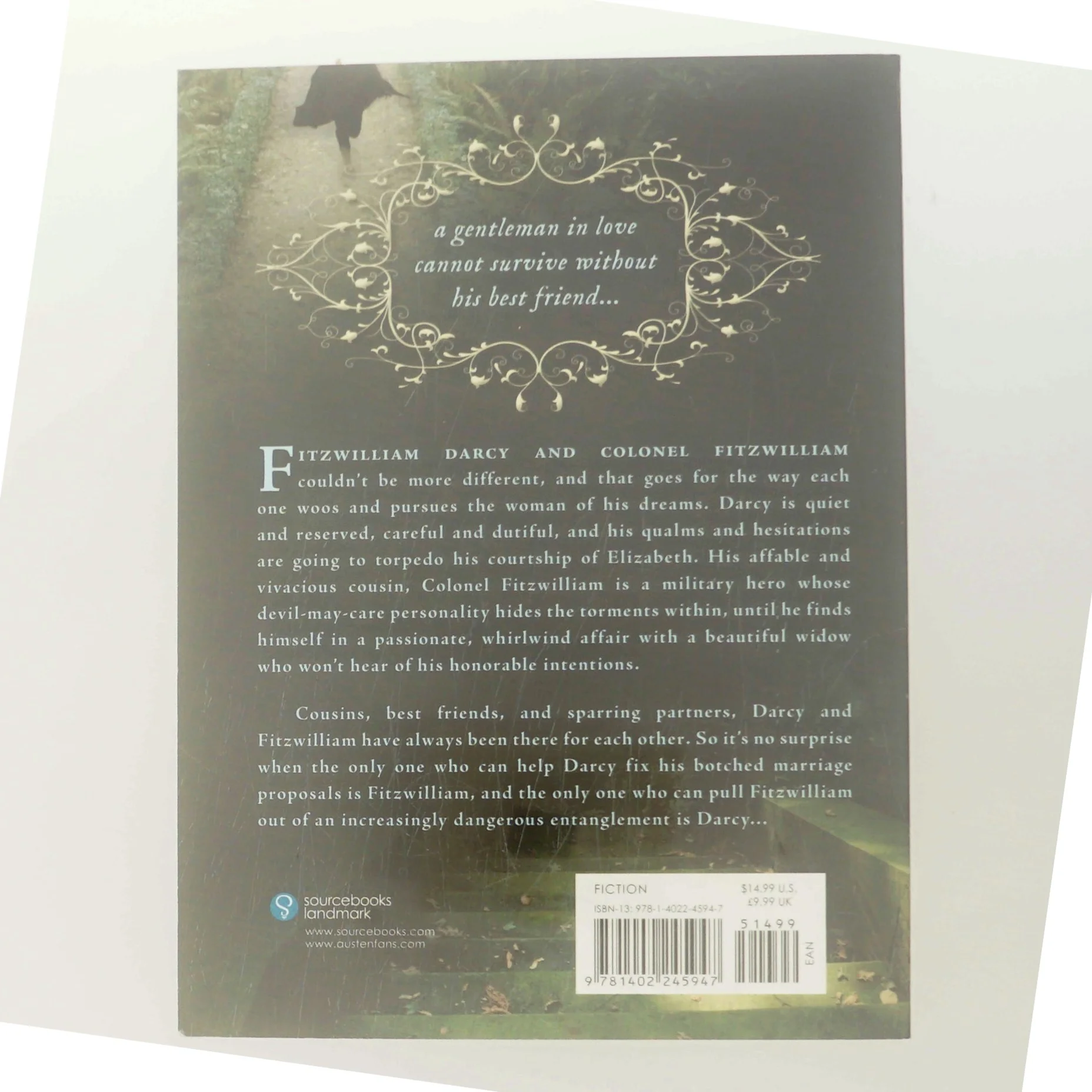 Darcy and Fitzwilliam af Karen V. Wasylowski (Bog)