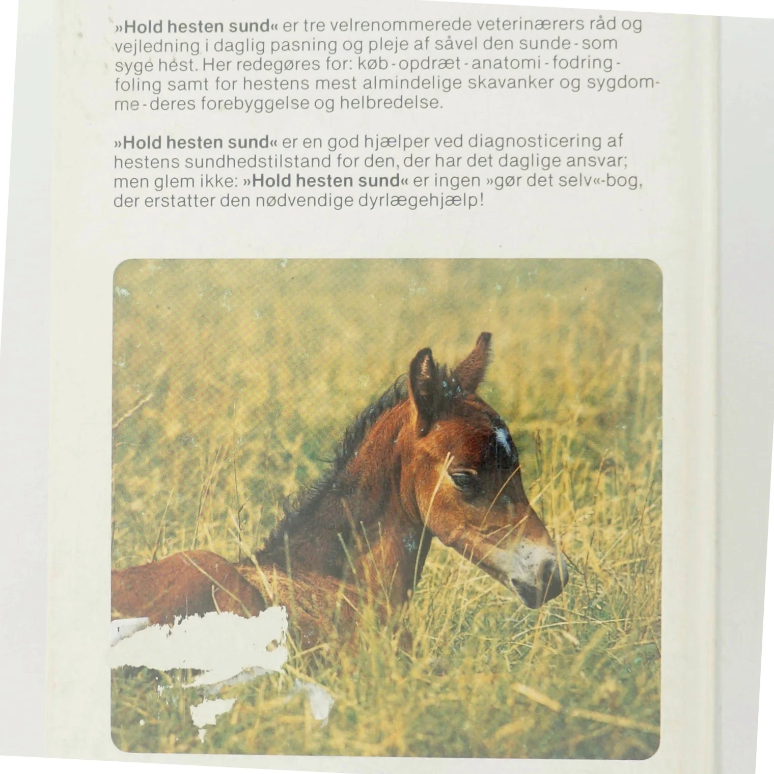 Hold hesten sund af Fritz Sevelius m.fl.