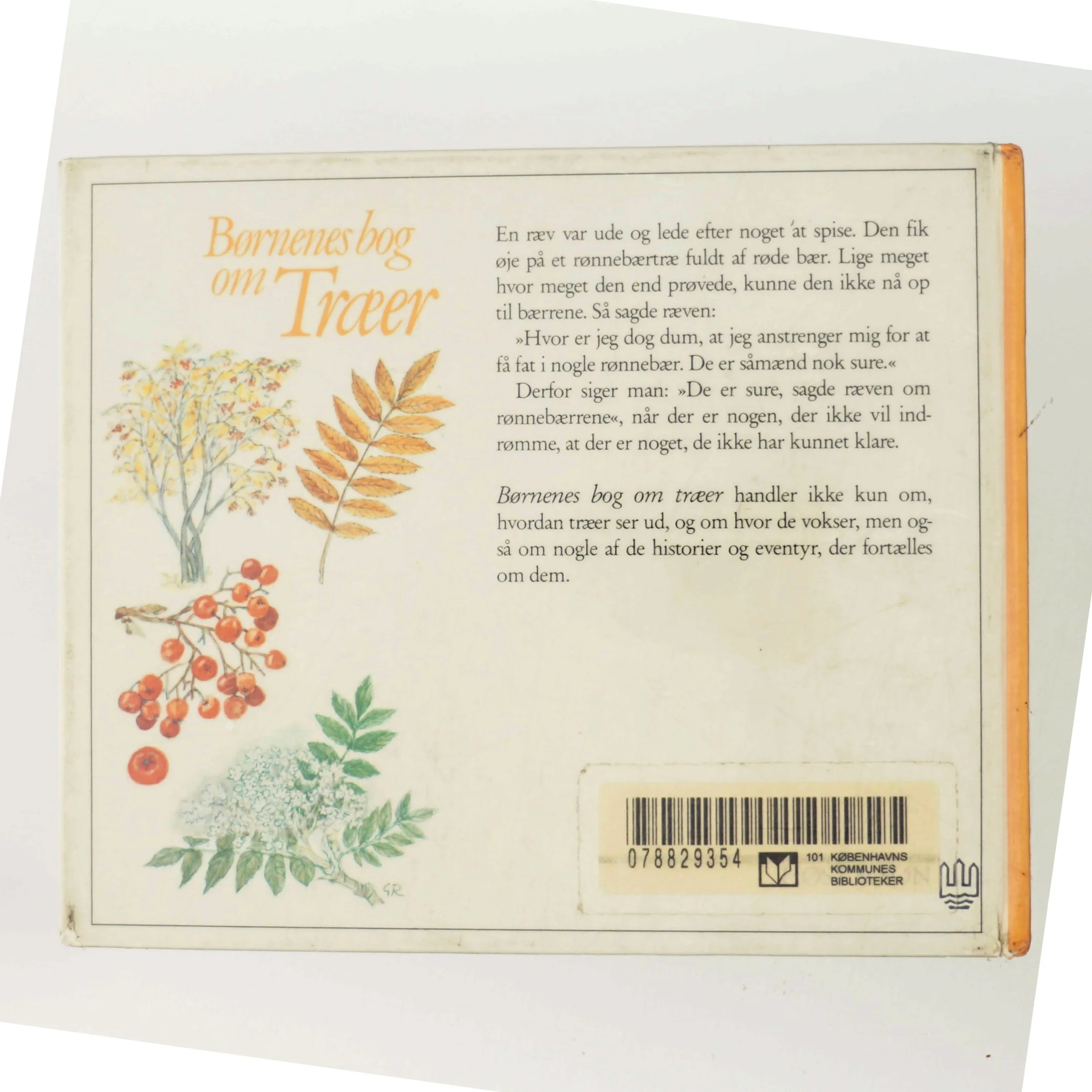 Børnenes bog om Træer af Bisse Falk (Bog)