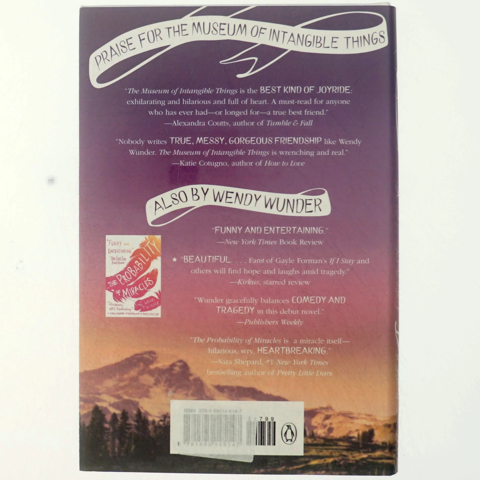 The museum of intangible things af Wendy Wunder