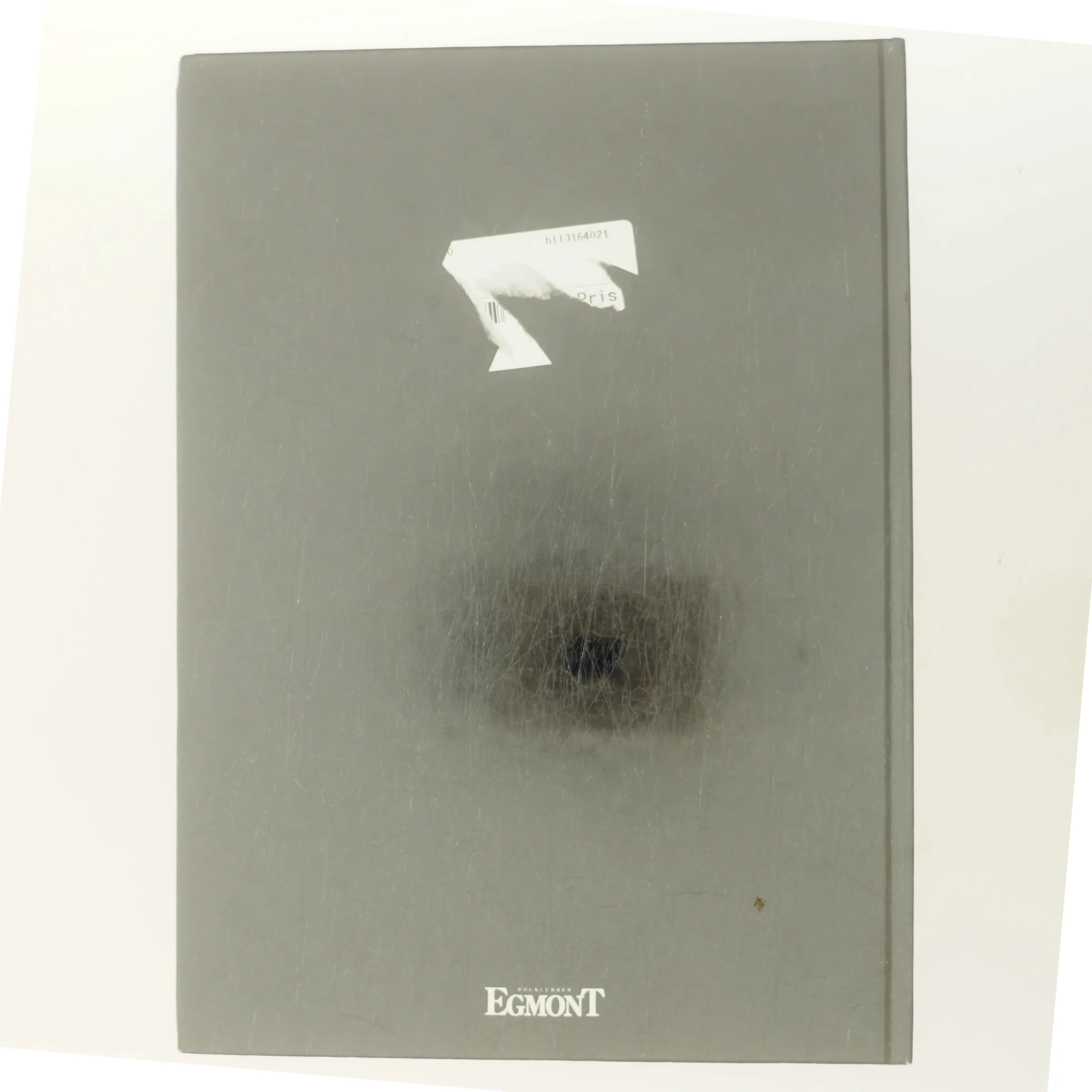 Planter i krukker og potter af Eyvind Thorsen (Bog)