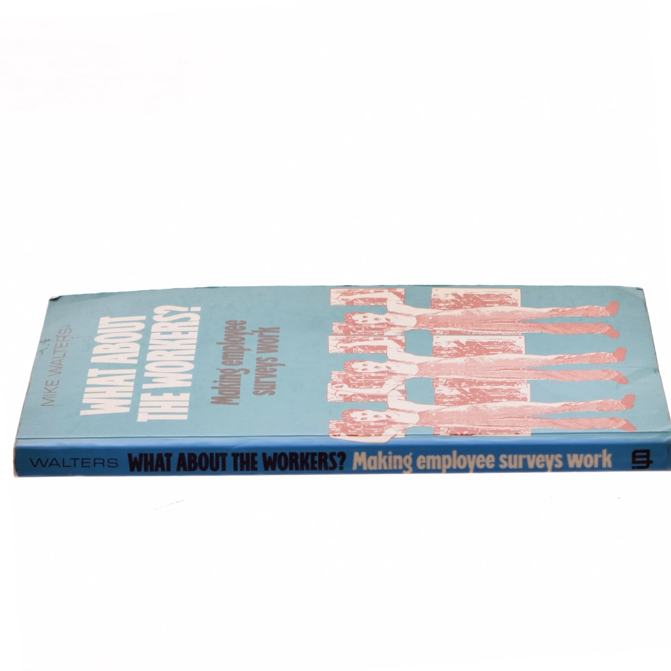 What about the workers? : Making employee surveys work af Mike Walters (Bog)