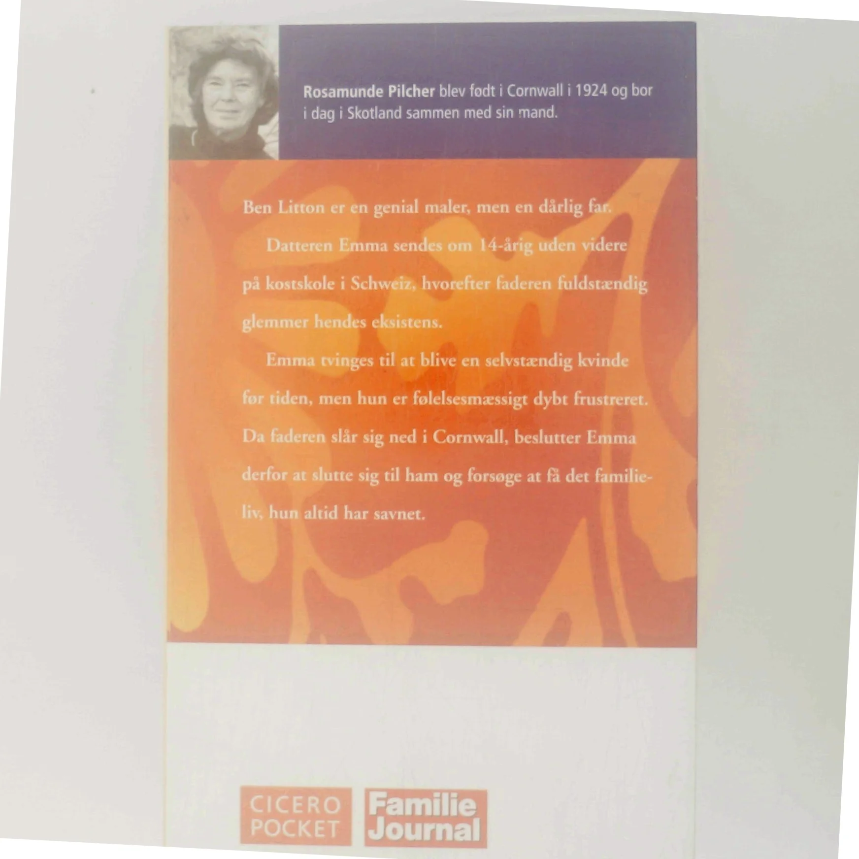 Bristede Håb af Rosamunde Pilcher (Bog)