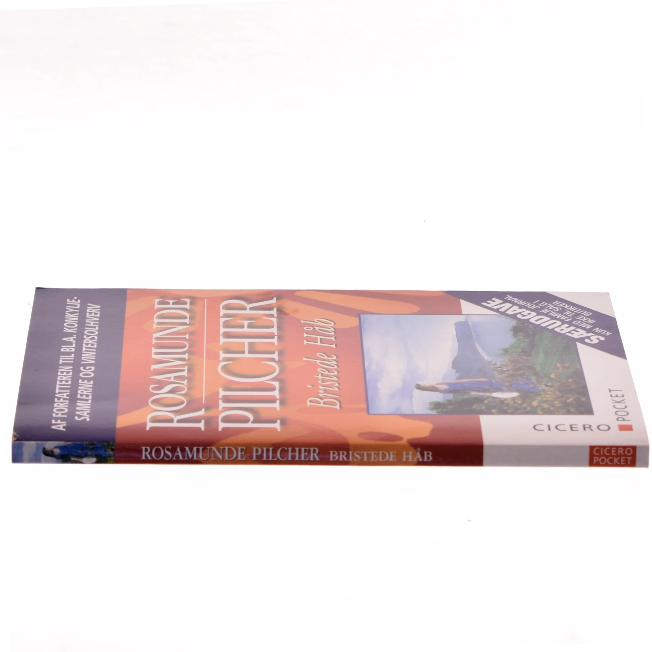 Bristede Håb af Rosamunde Pilcher (Bog)