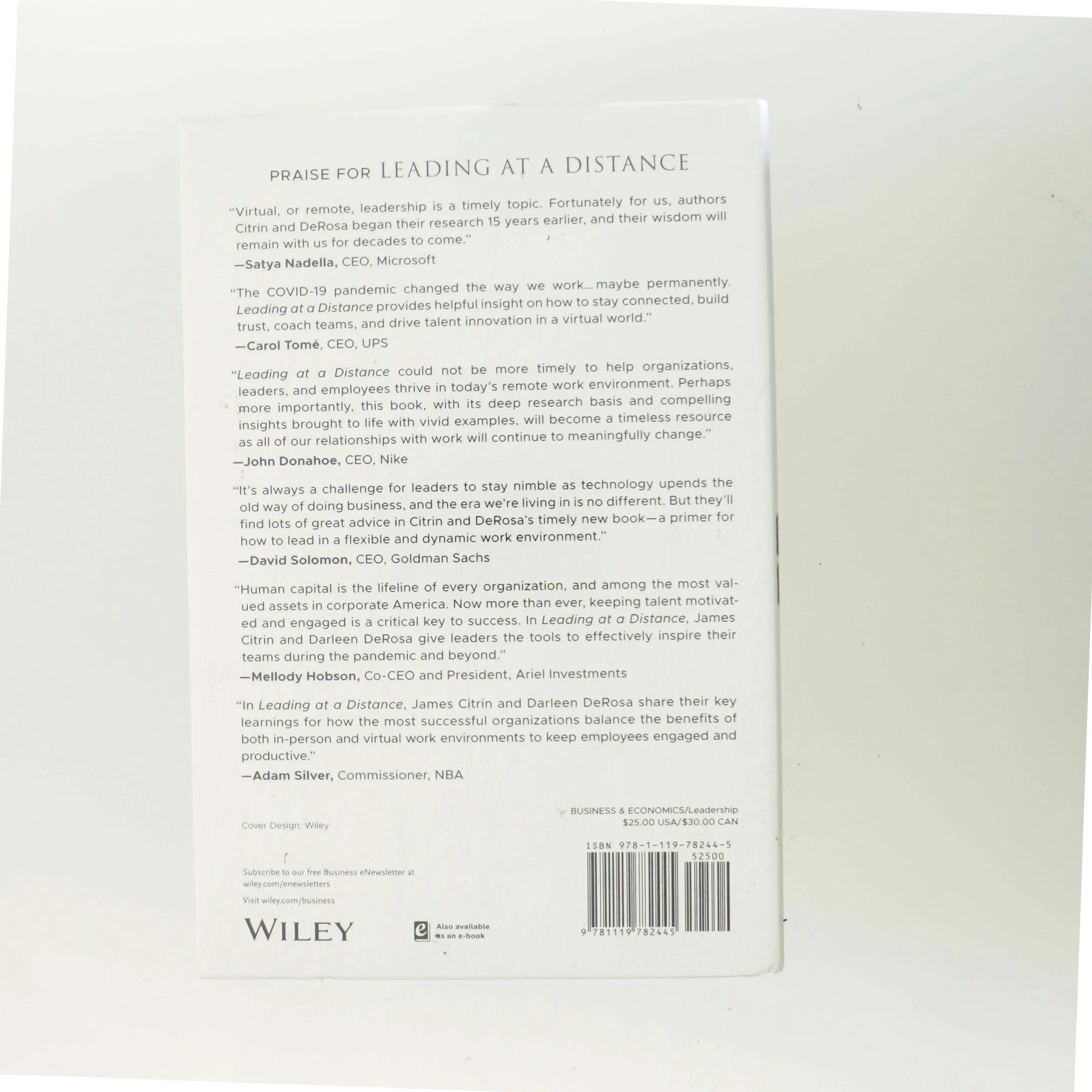 Leading at a Distance (Bog)