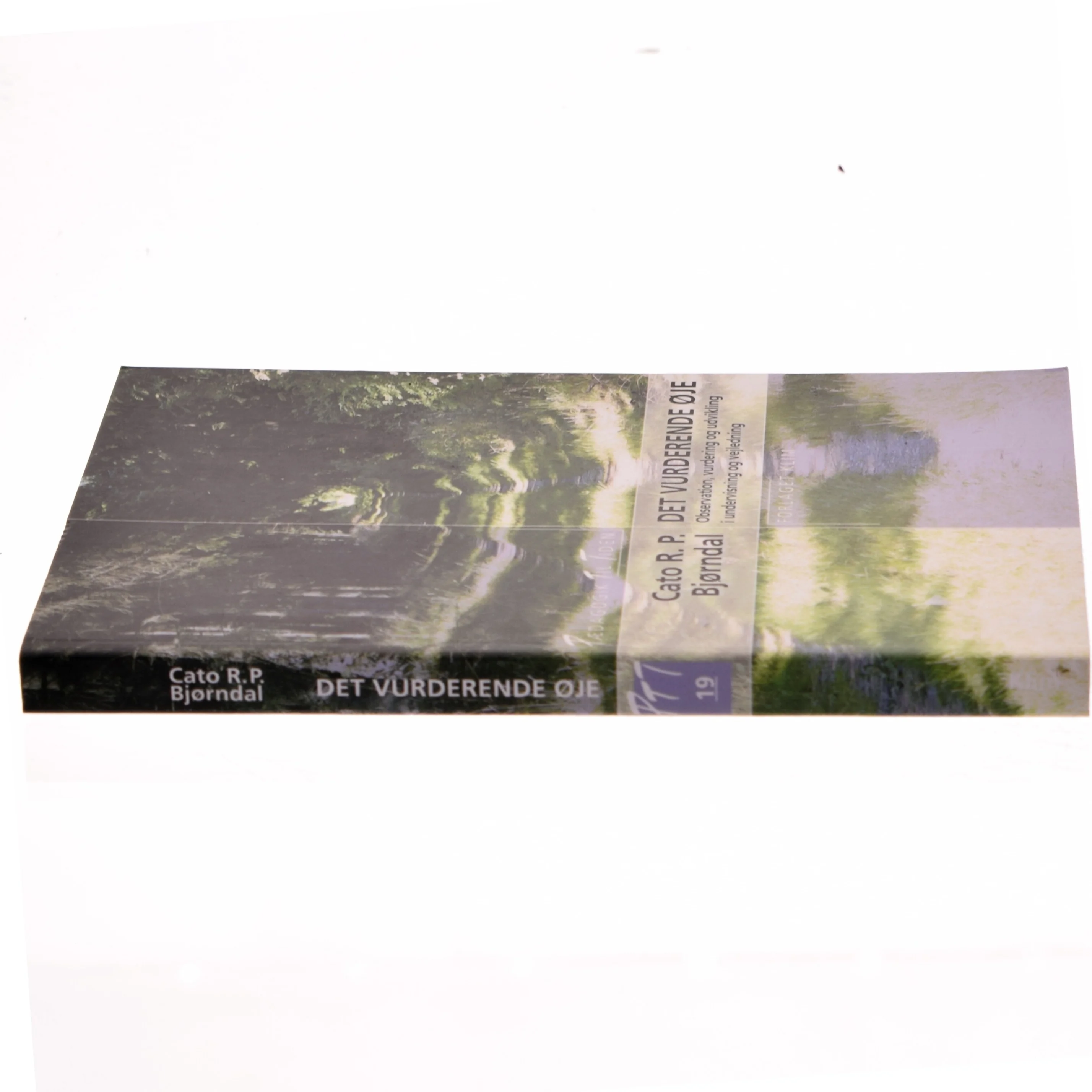 Faglitteratur bog 'DET VURDERENDE ØJE' fra Forlaget Klim