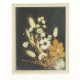 Retro Vintage Billede I Ramme med tørrede blomster (str. 21 x 17 cm)