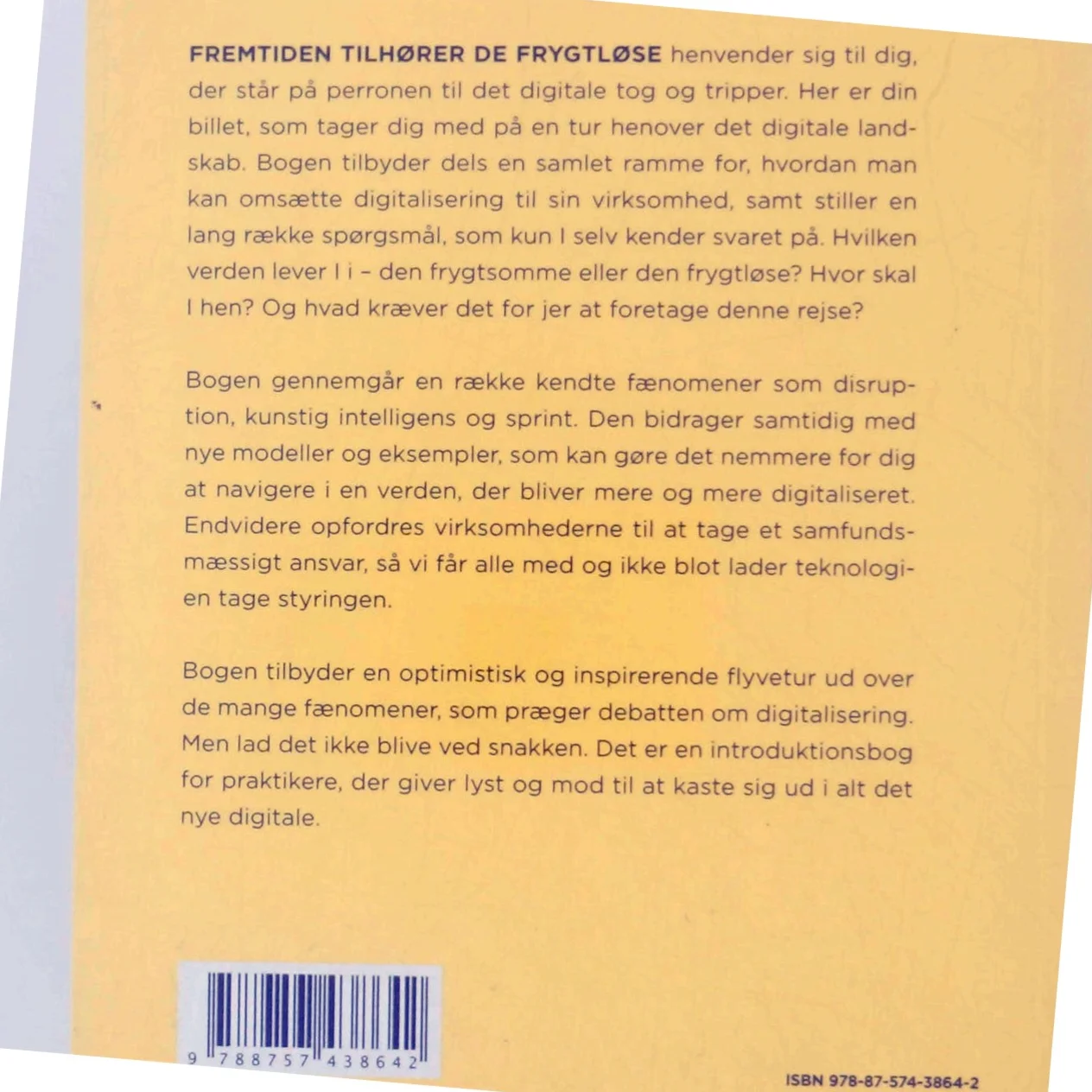 Fremtiden tilhører de frygtløse : en guide til den digitale forretningsudvikling af Astrid Haug (Bog)