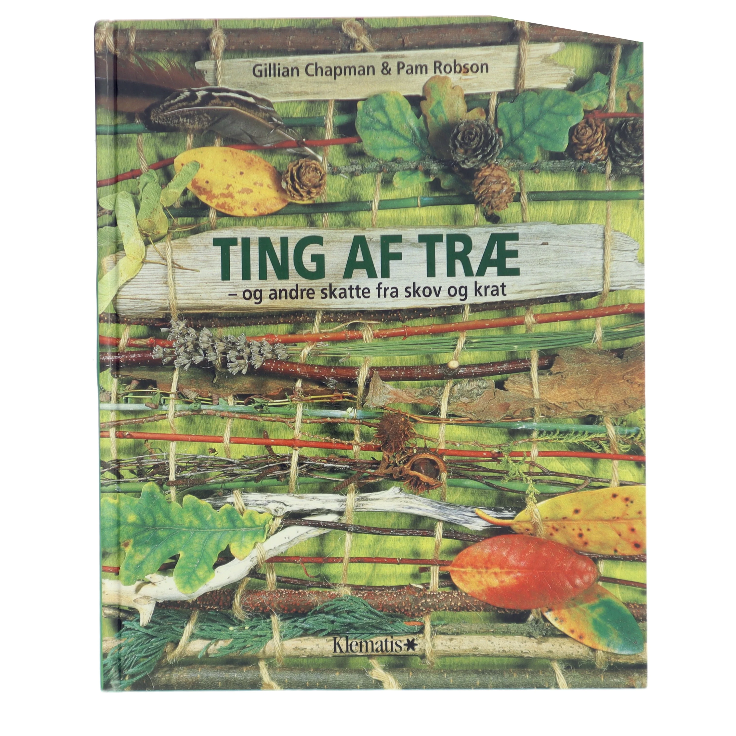 TING AF TRÆ af Gillian Chapman (Bog)