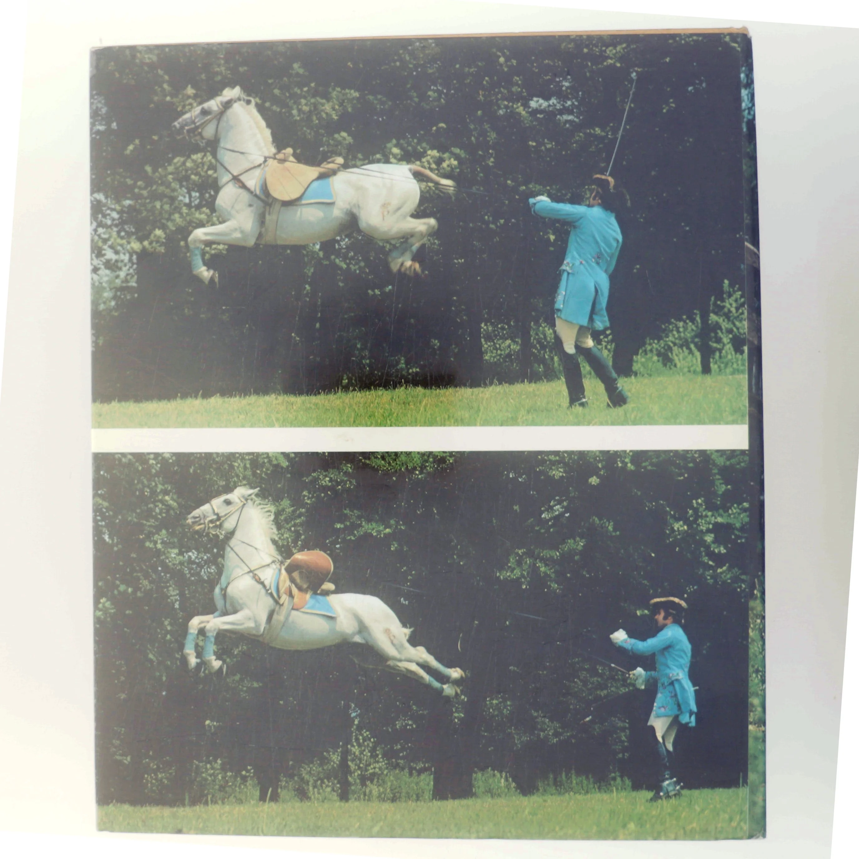 Hestens forunderlige verden af Ursula Bruns (Bog)