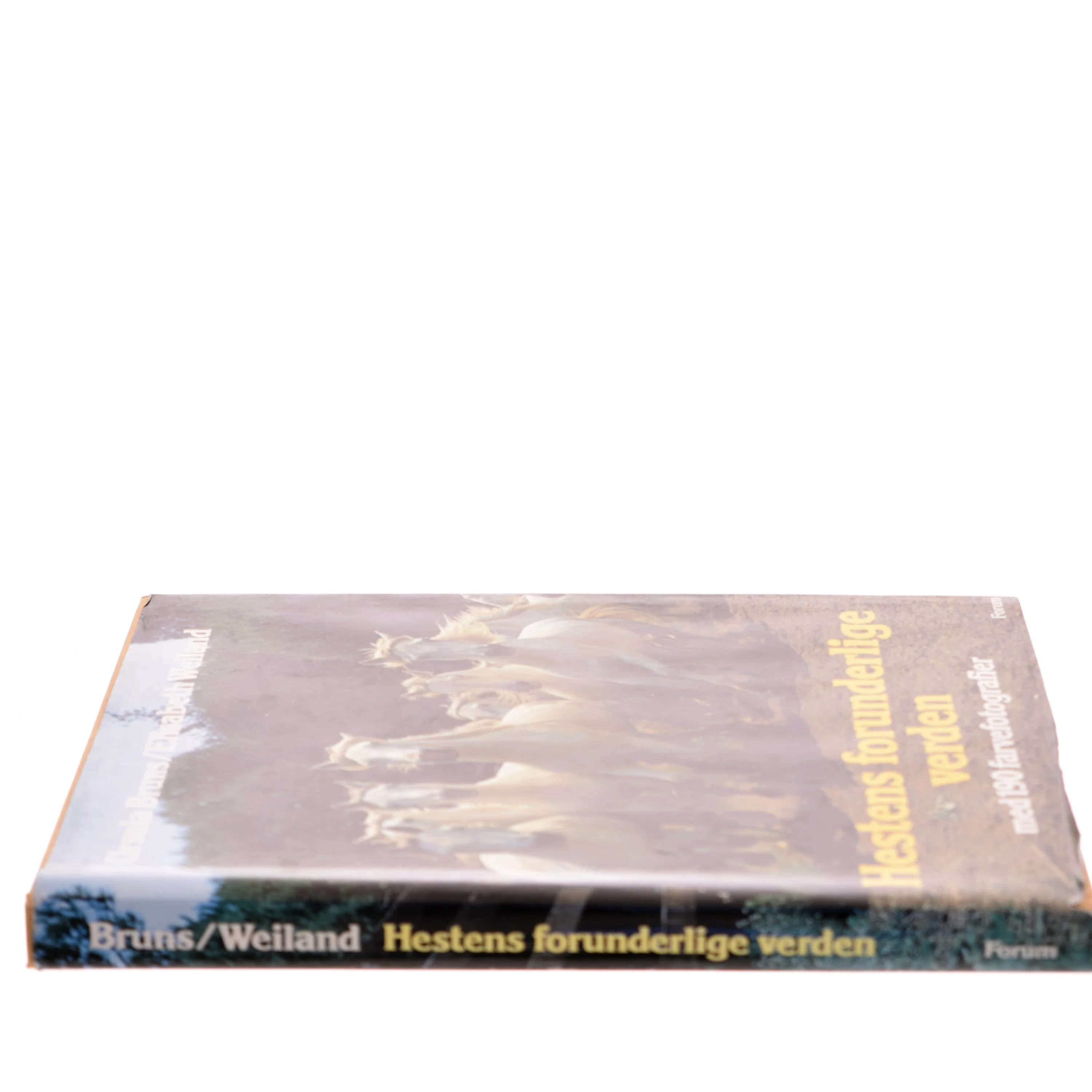 Hestens forunderlige verden af Ursula Bruns (Bog)