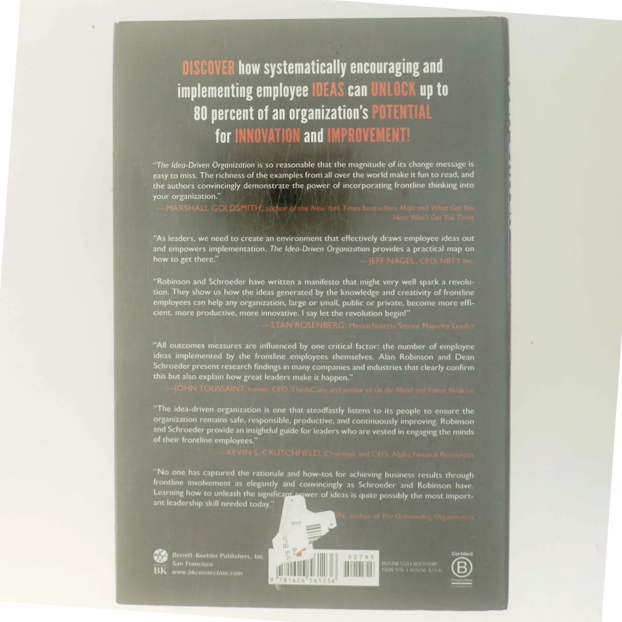 The Idea-Driven Organization (Bog)