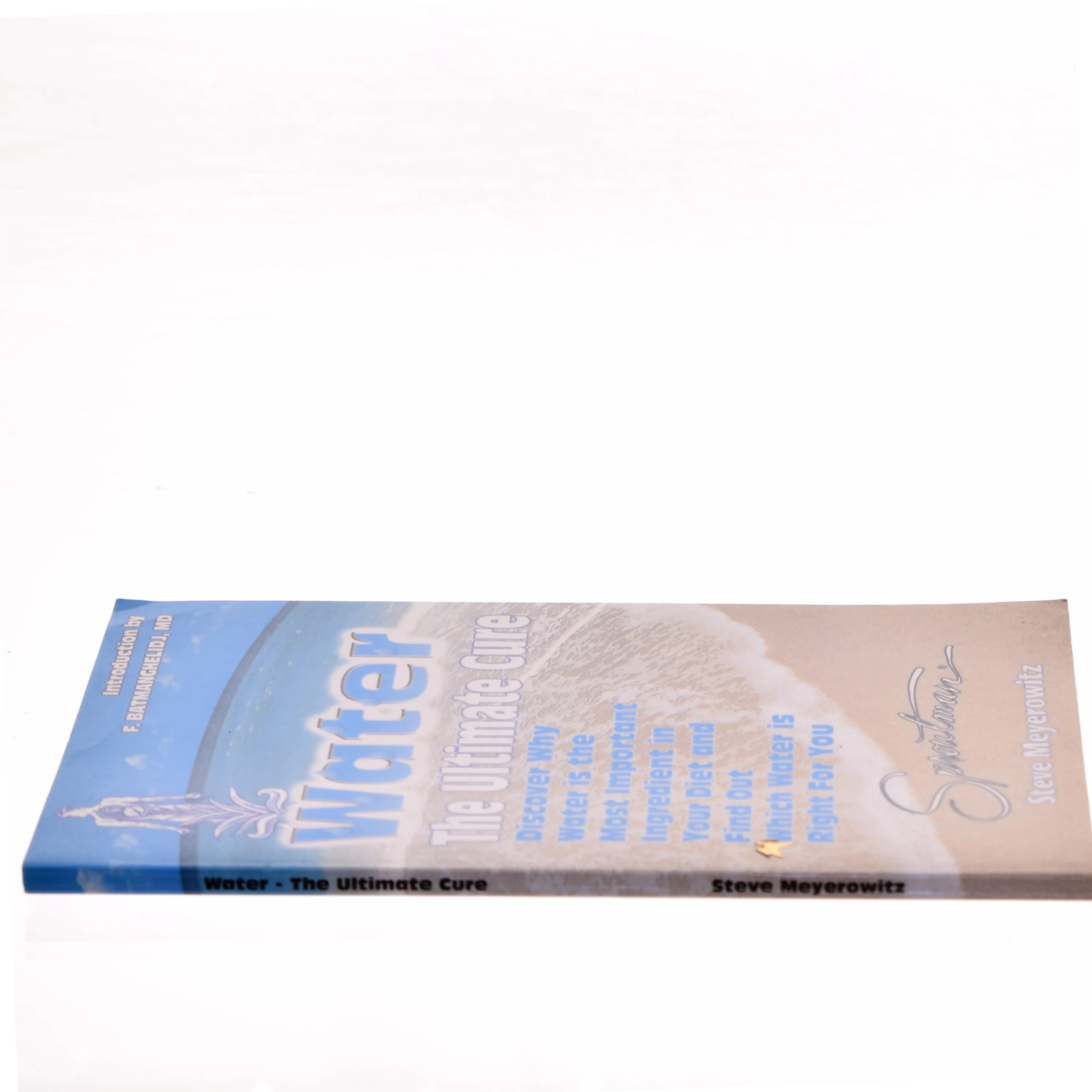 Water - The Ultimate Cure af Steve Meyerowitz (Bog)