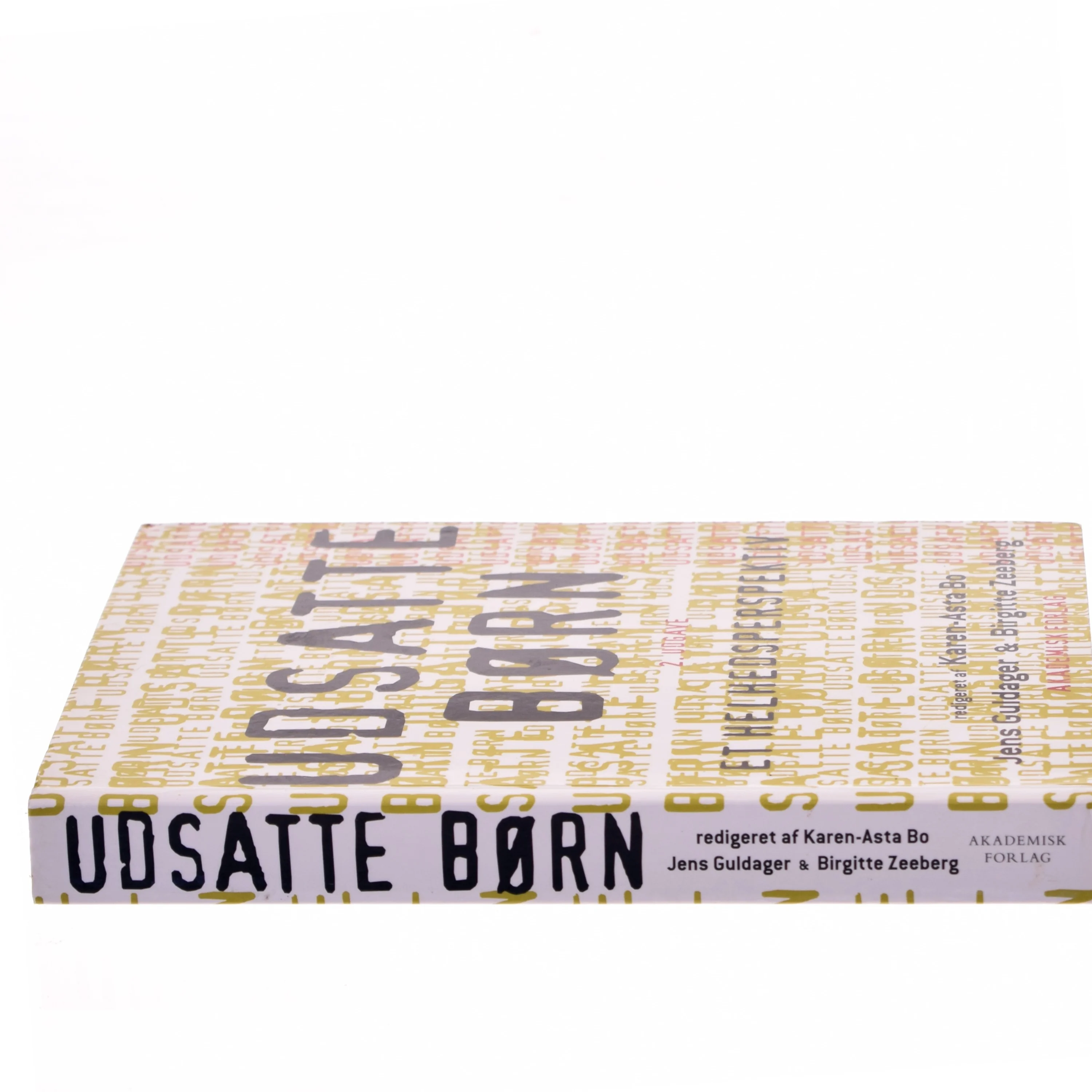 Udsatte børn : et helhedsperspektiv (Bog)