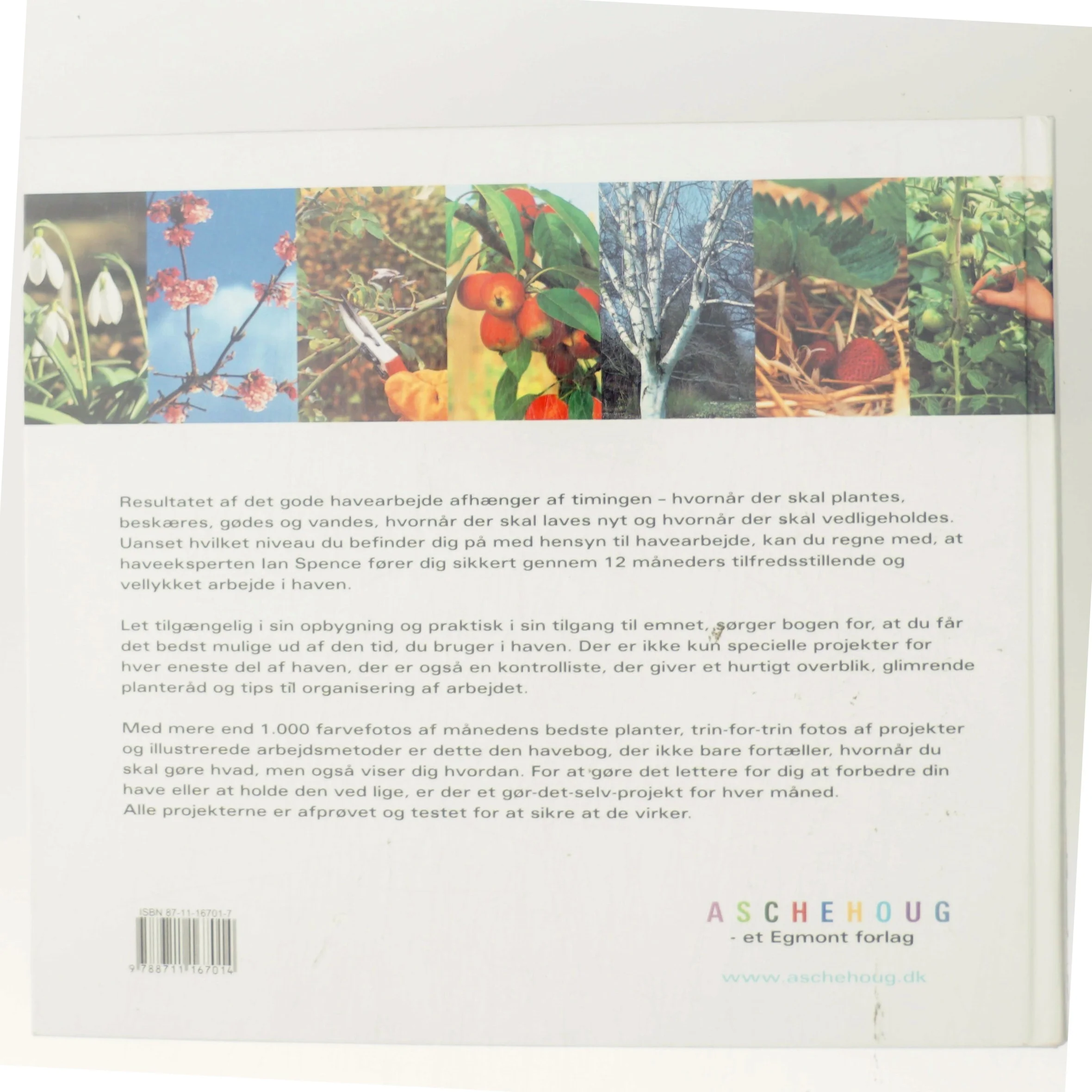 Haven hele året af Ian Spence (Bog)