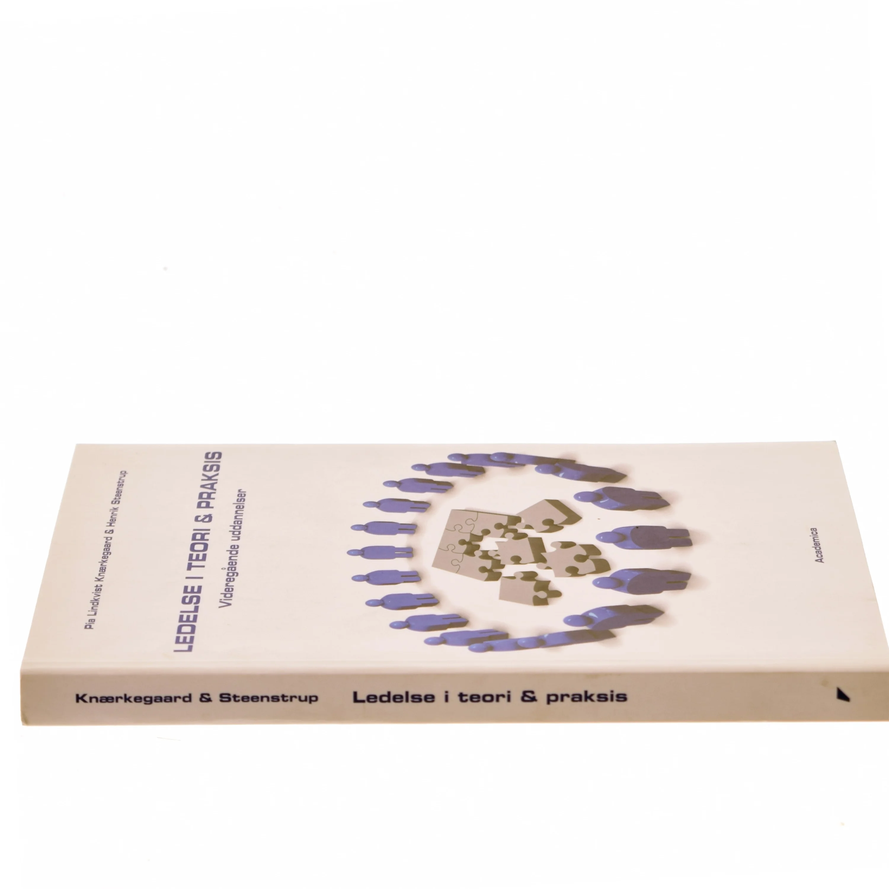 Ledelse i teori og praksis : videregående uddannelser (Bog)