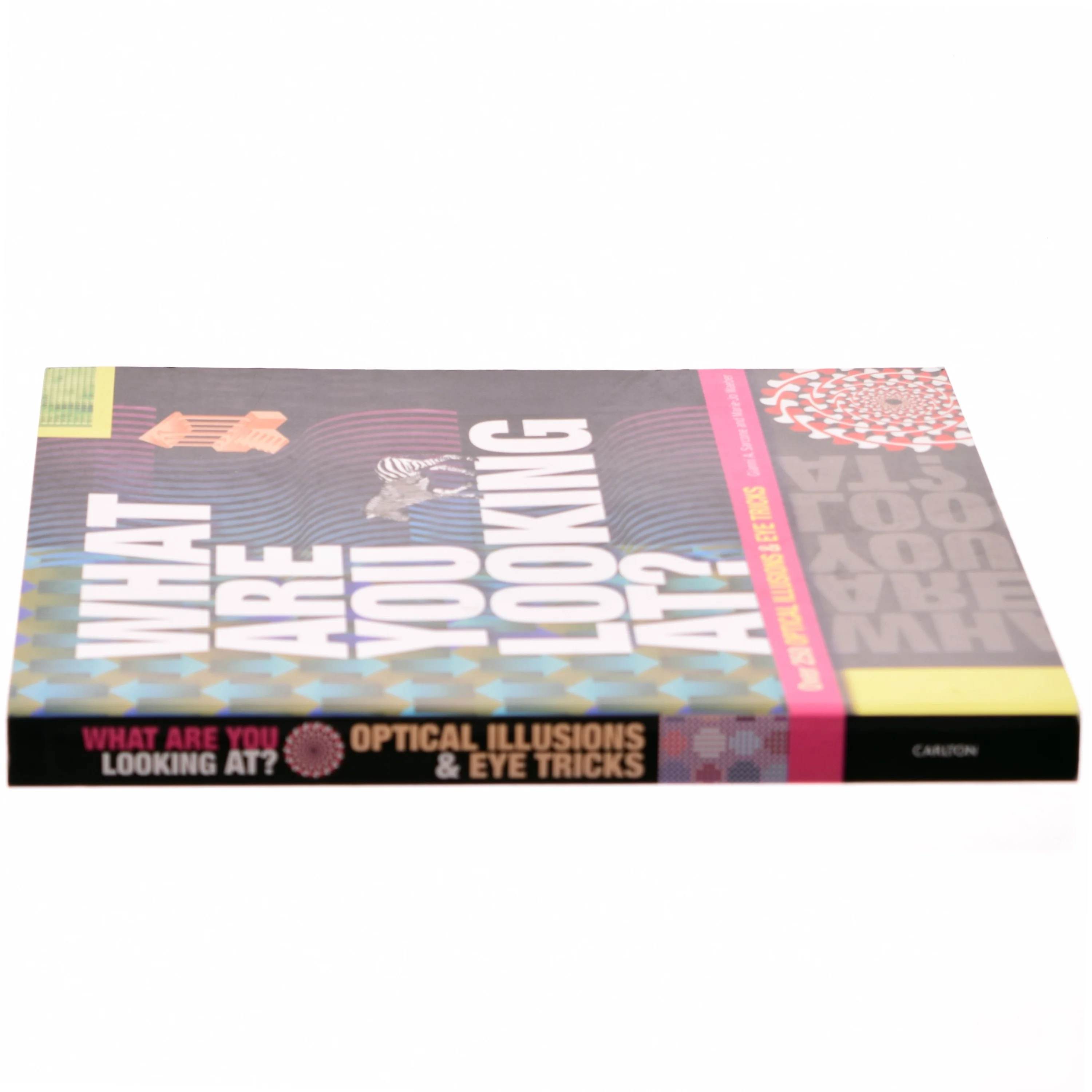 What are You Looking At? af Gianni A. Sarcone, Marie-Jo Waeber (Bog)