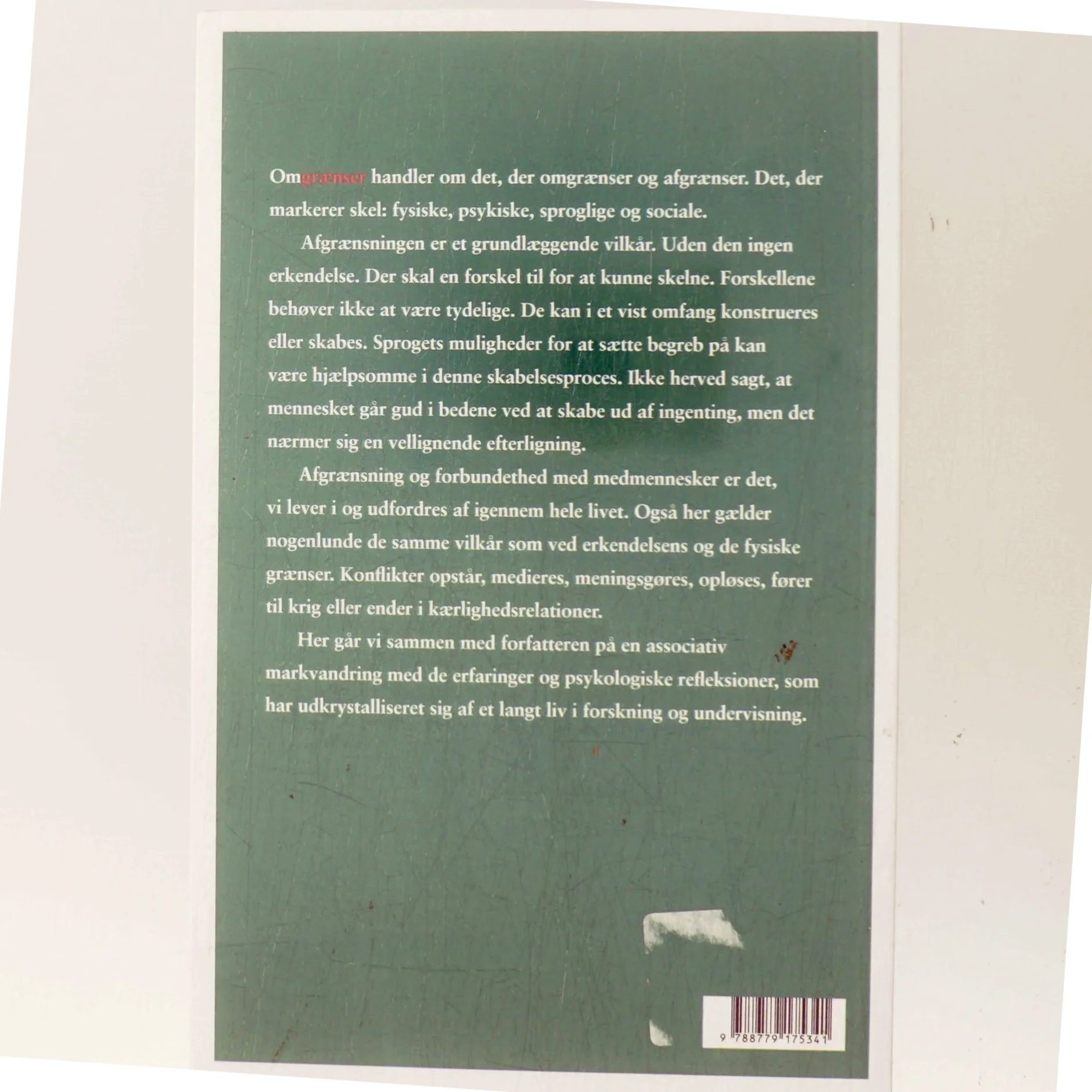 Omgrænser : essays af Mads Hermansen (f. 1946) (Bog)