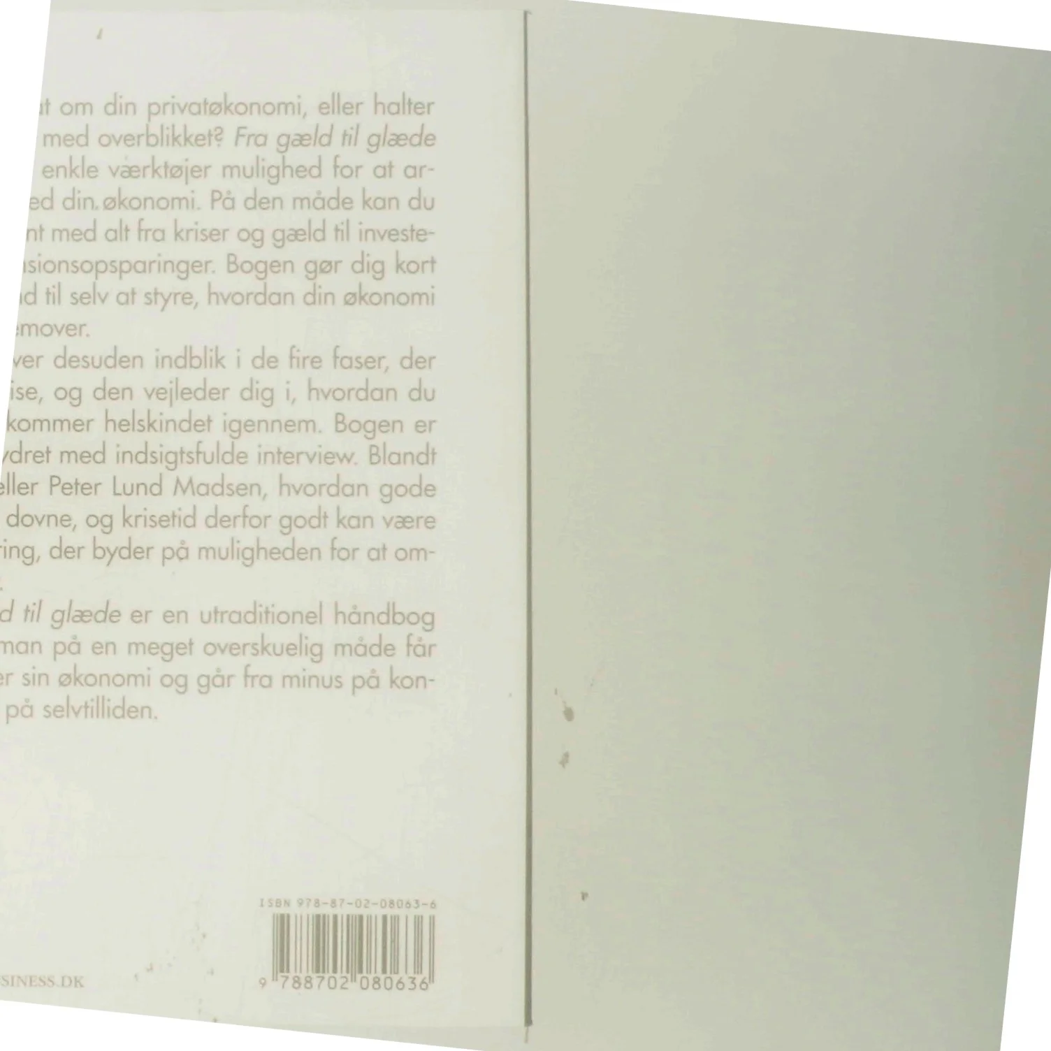 Fra gæld til glæde : en ikke helt almindelig økonomisk selvhjælpsbog af Kenneth Wöhlisfelt (Bog)