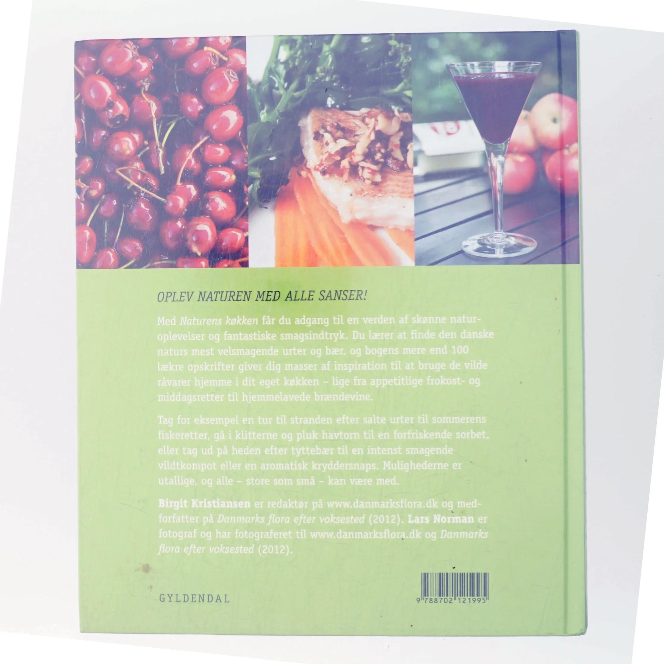 Naturens køkken : find og spis de lækreste bær og urter af Birgit Kristiansen (f. 1957-02-13) (Bog)