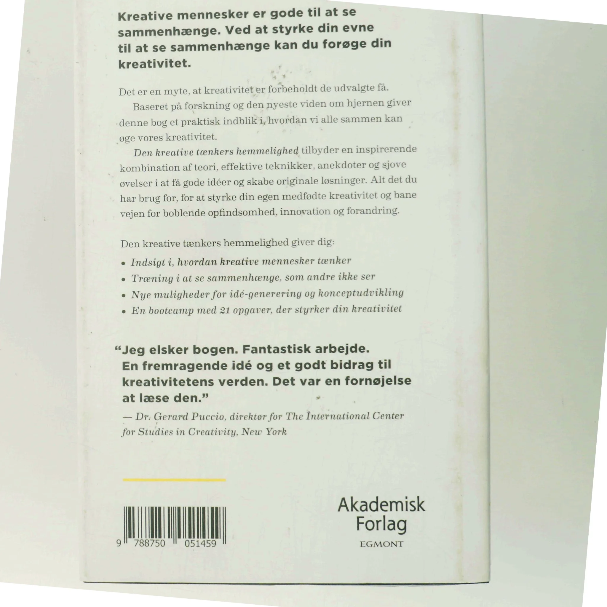Den kreative tænkers hemmelighed : lær at se sammenhænge, andre ikke ser af Dorte Nielsen (f. 1967-03-24) (Bog)