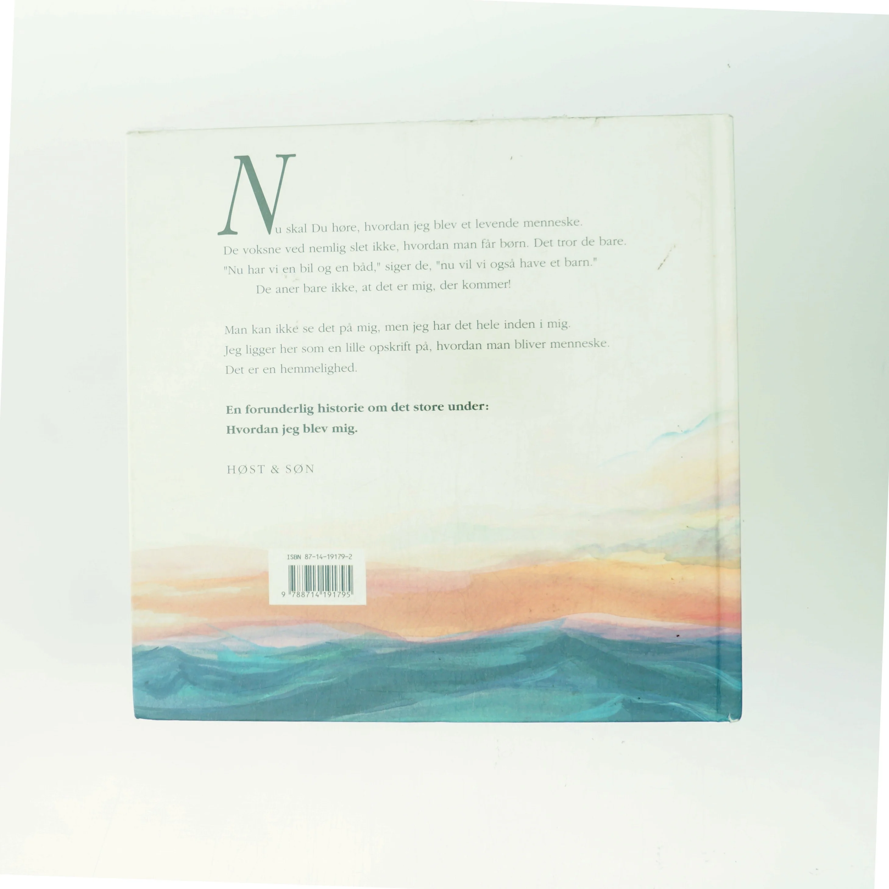 Paradisets mave af Suzanne Brøgger & Fleur Brofos Asmussen (Bog)