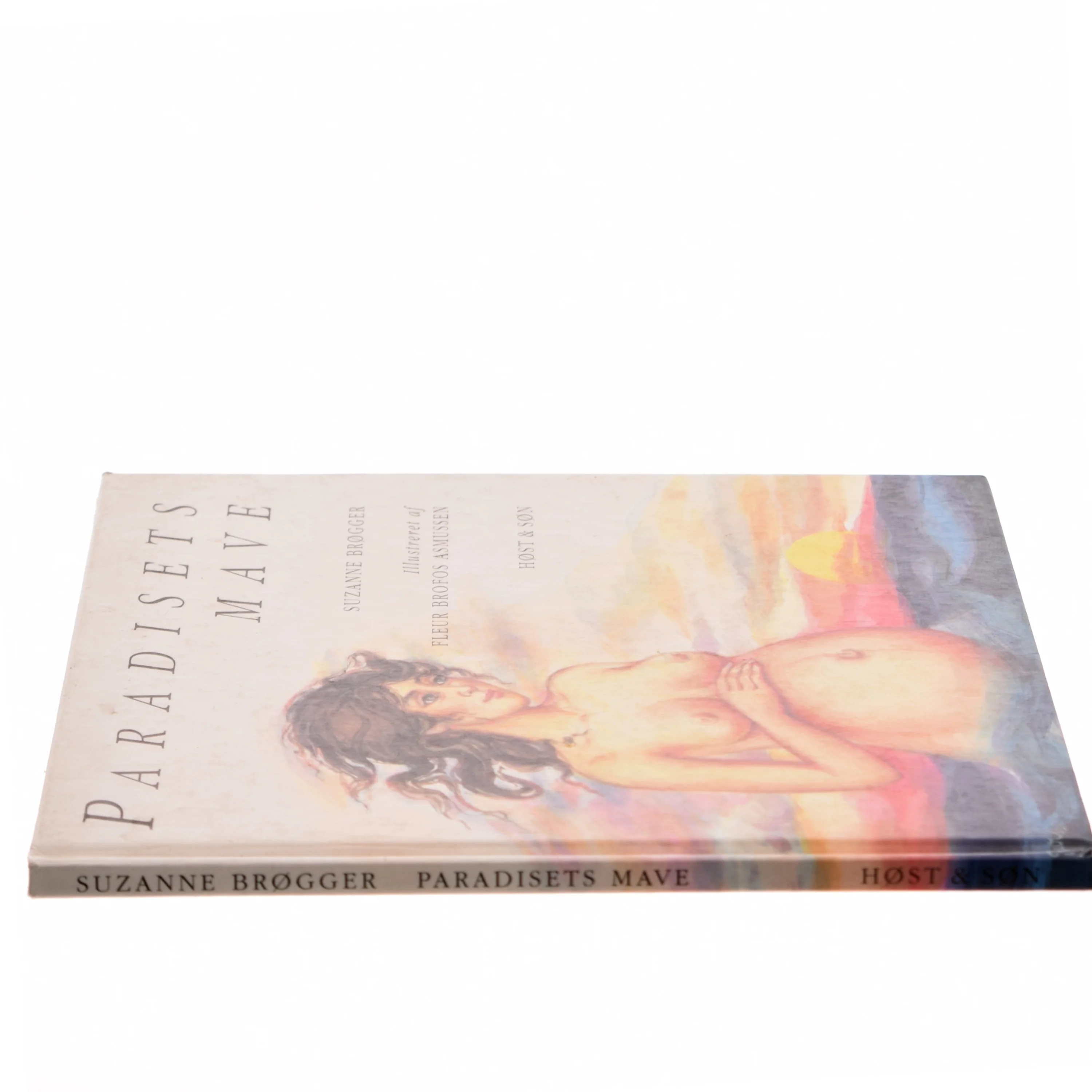 Paradisets mave af Suzanne Brøgger & Fleur Brofos Asmussen (Bog)