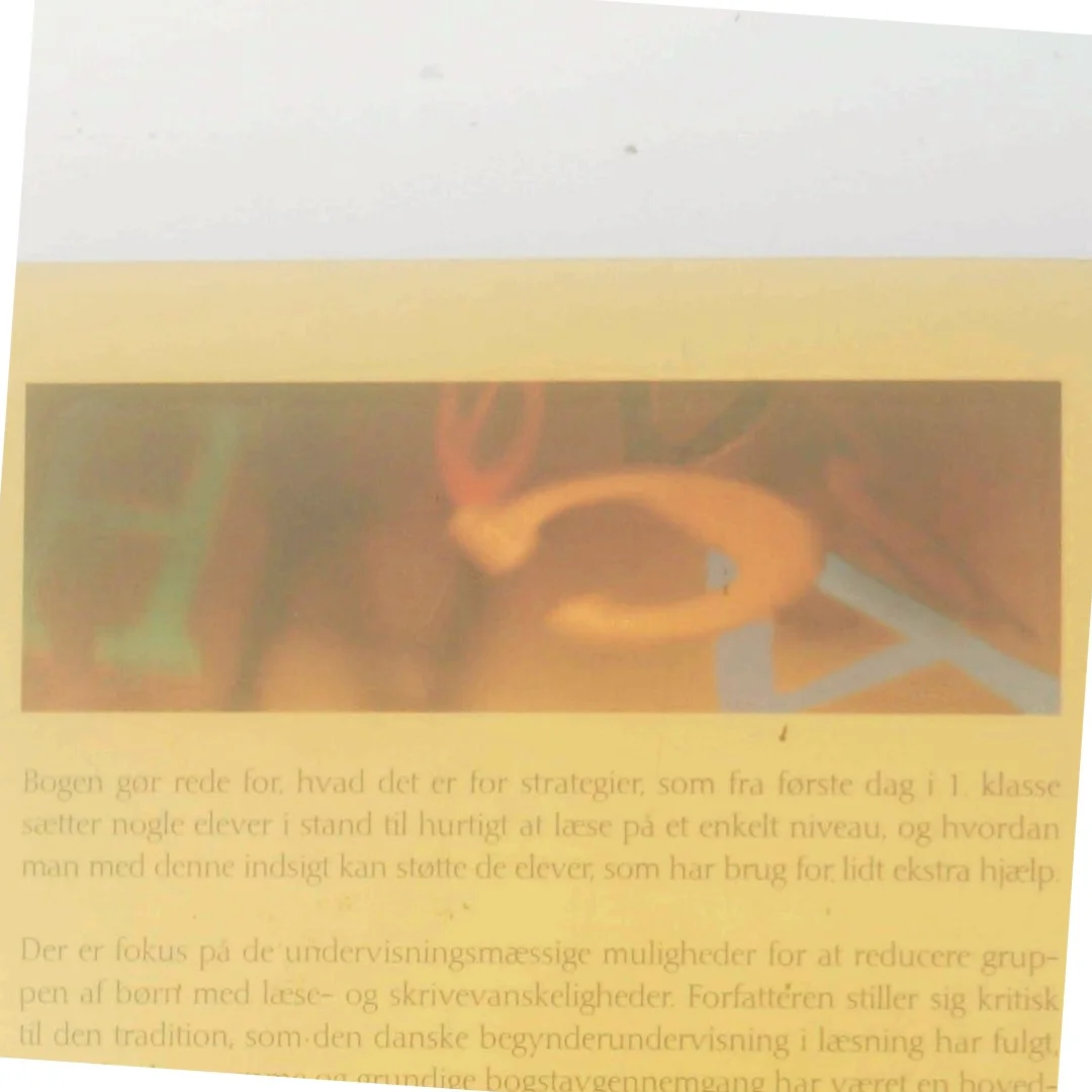 Selvforstærkende strategier hos begynderlæseren af Jørgen Frost (Bog)