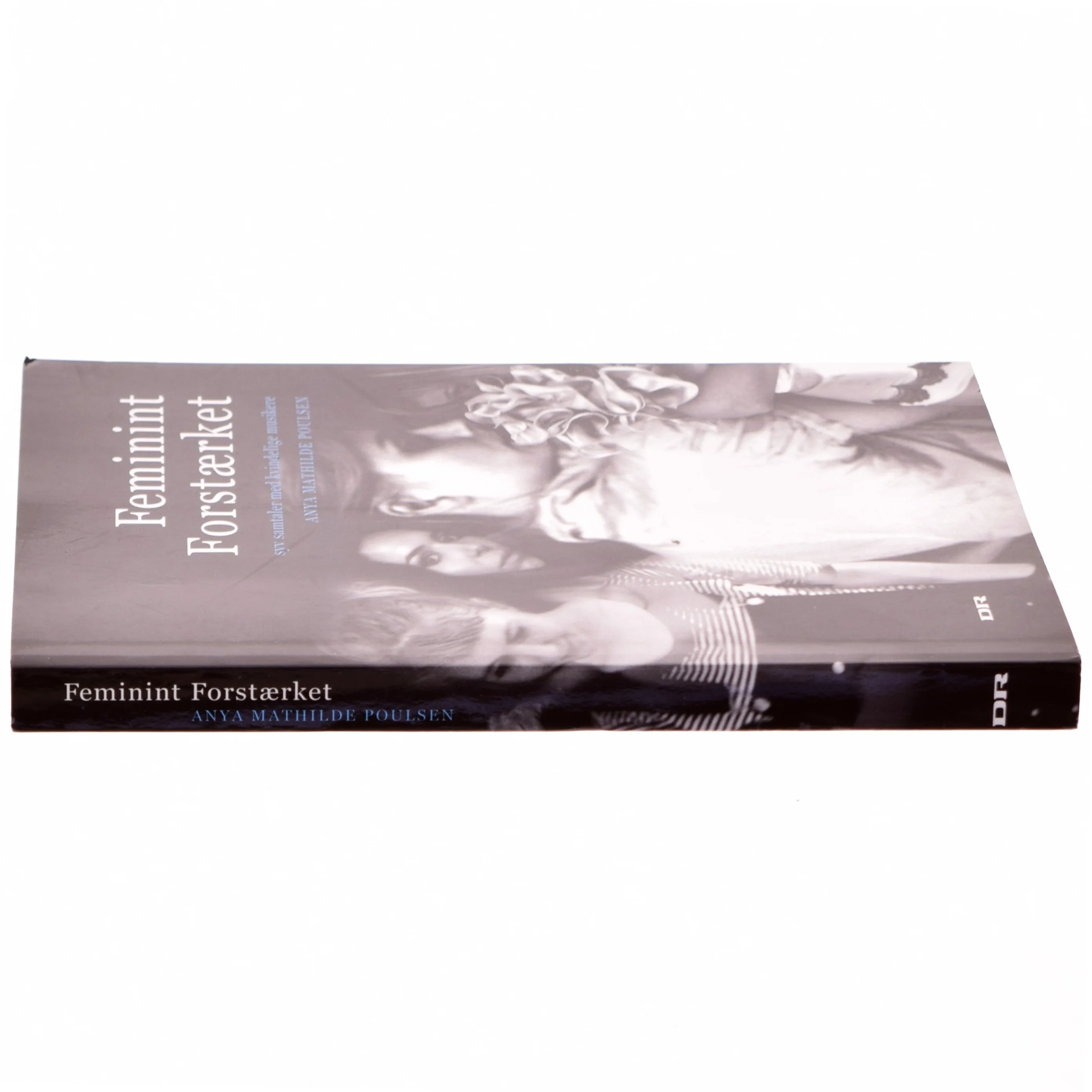 Feminint forstærket : syv samtaler med kvindelige musikere (Bog)